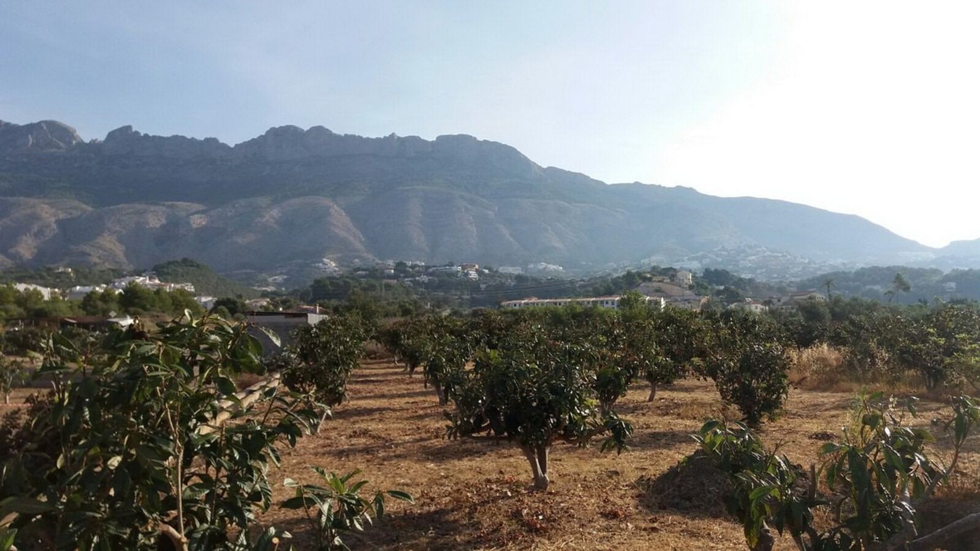 土地 在 Altea la Vieja, 巴倫西亞 11088674