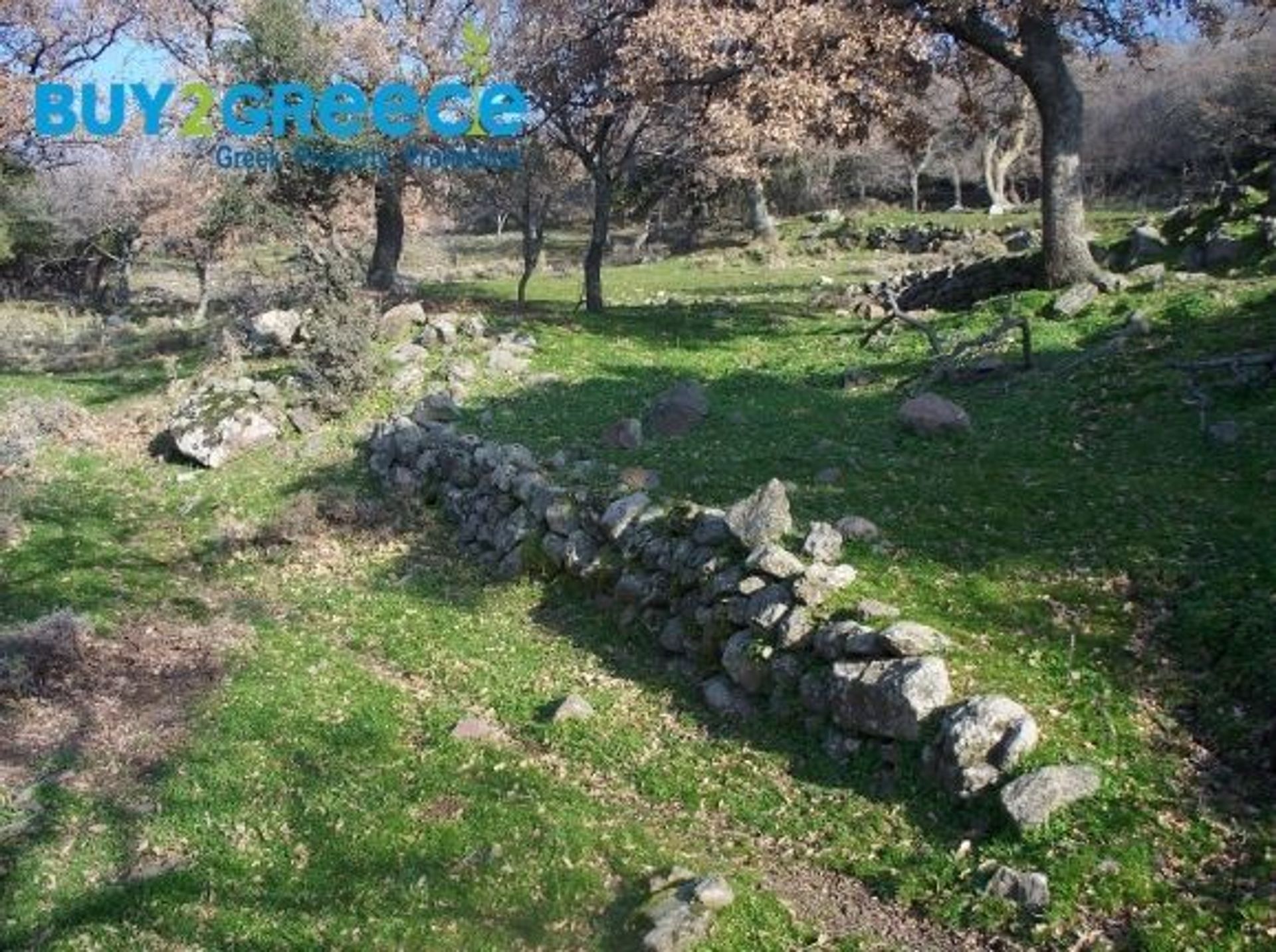 Tierra en mantamados, Voreio Aigaio 11089818