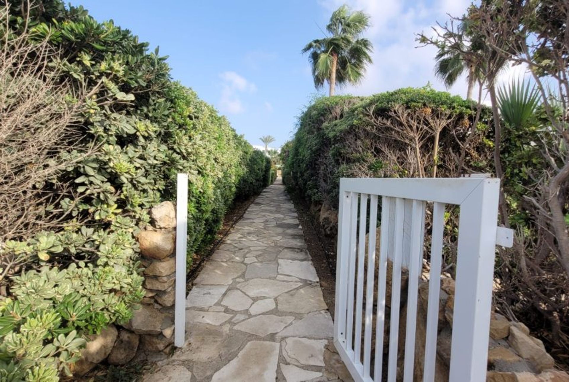 Rumah di Paphos, Paphos 11089835