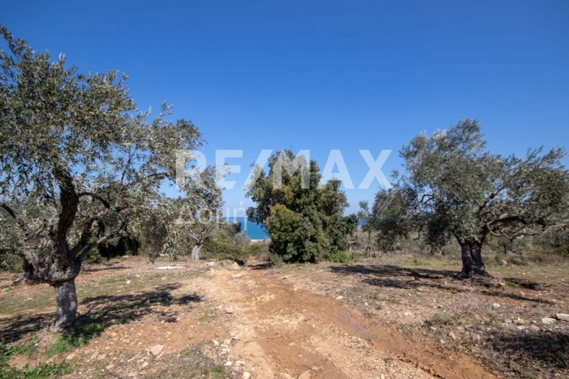 Land in Potistika,  11089894