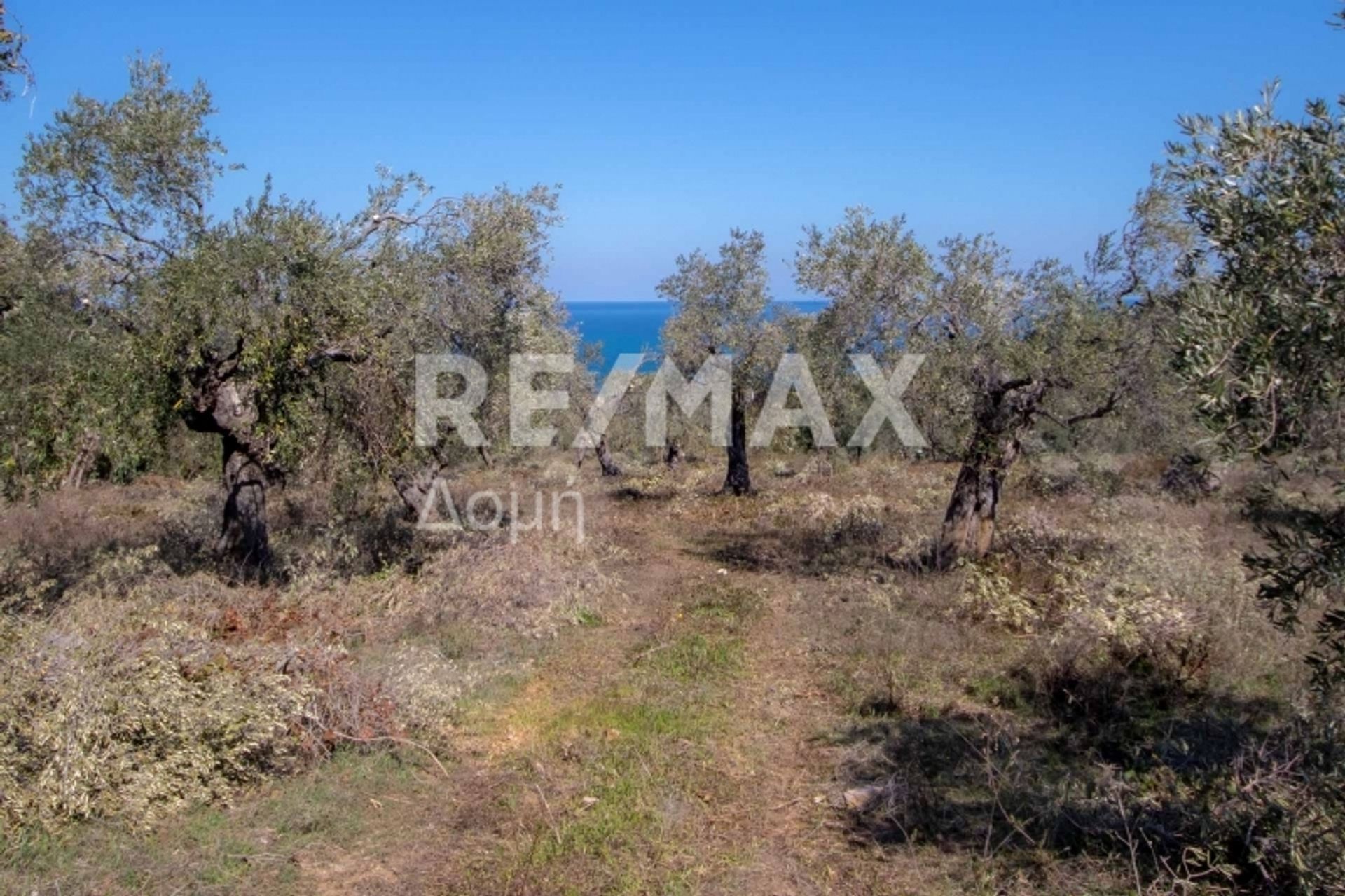 Land in Potistika,  11089894