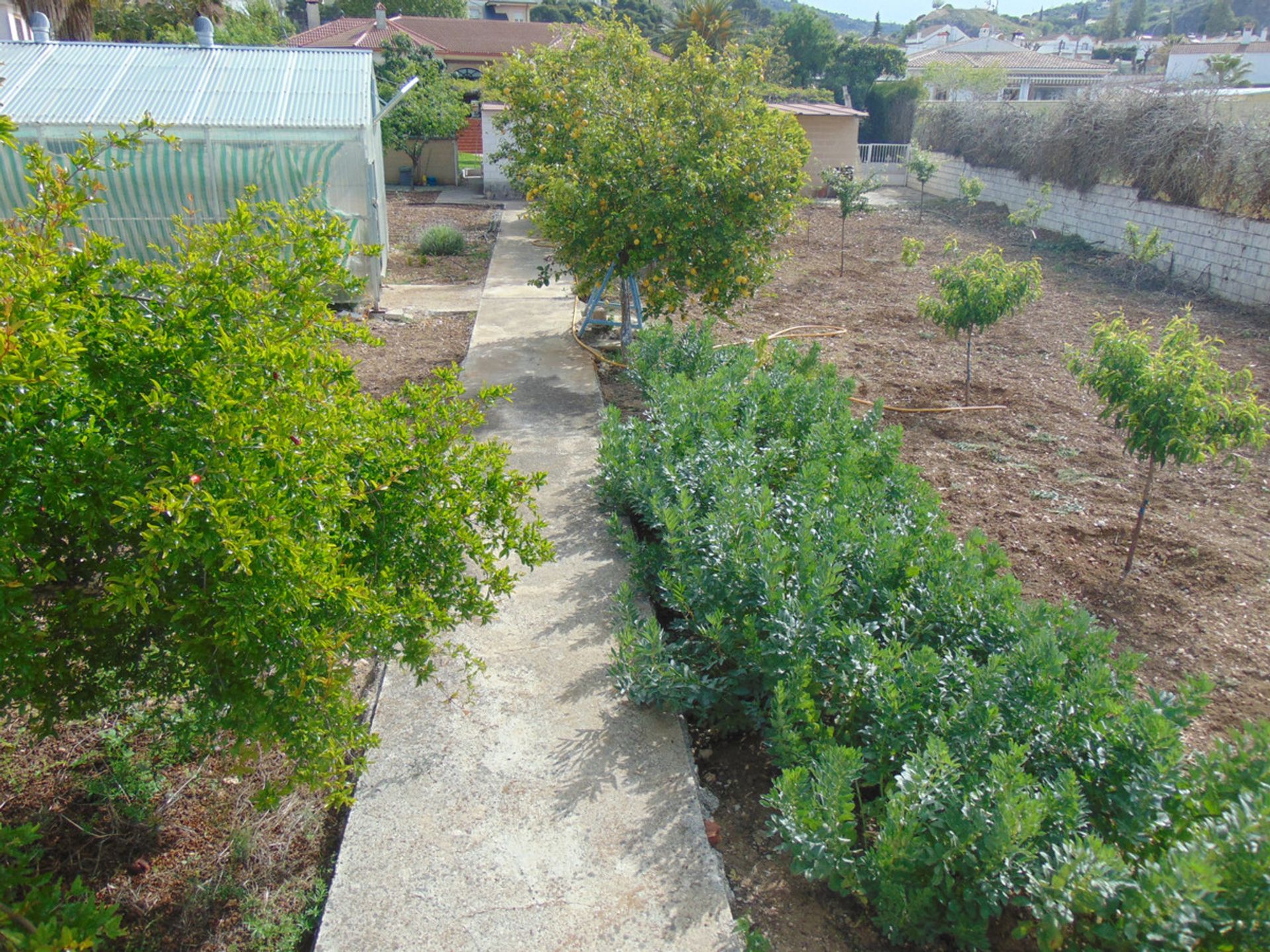 Talo sisään Cabra, Andalucía 11089992