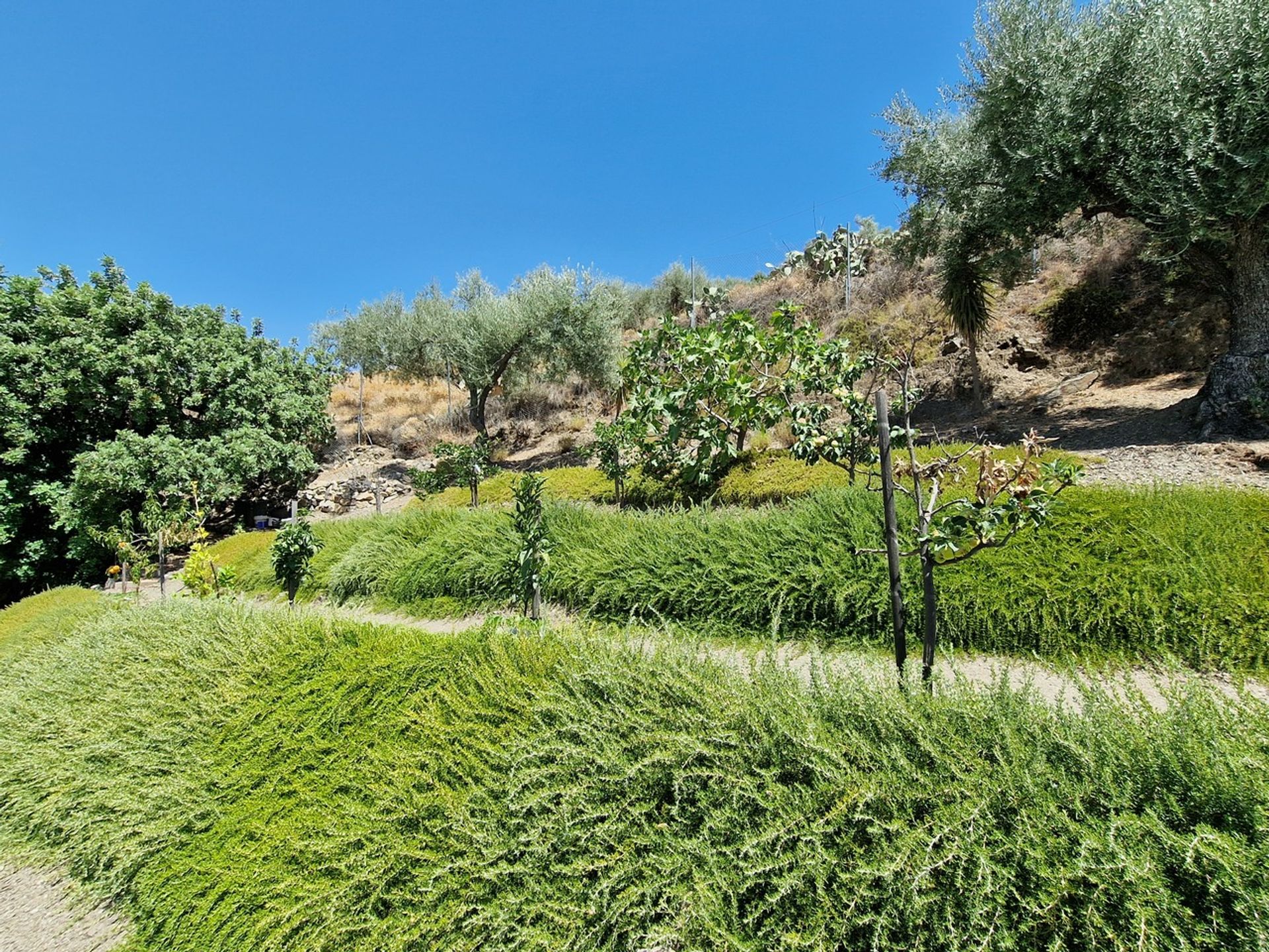 rumah dalam Alcaucín, Andalucía 11090216