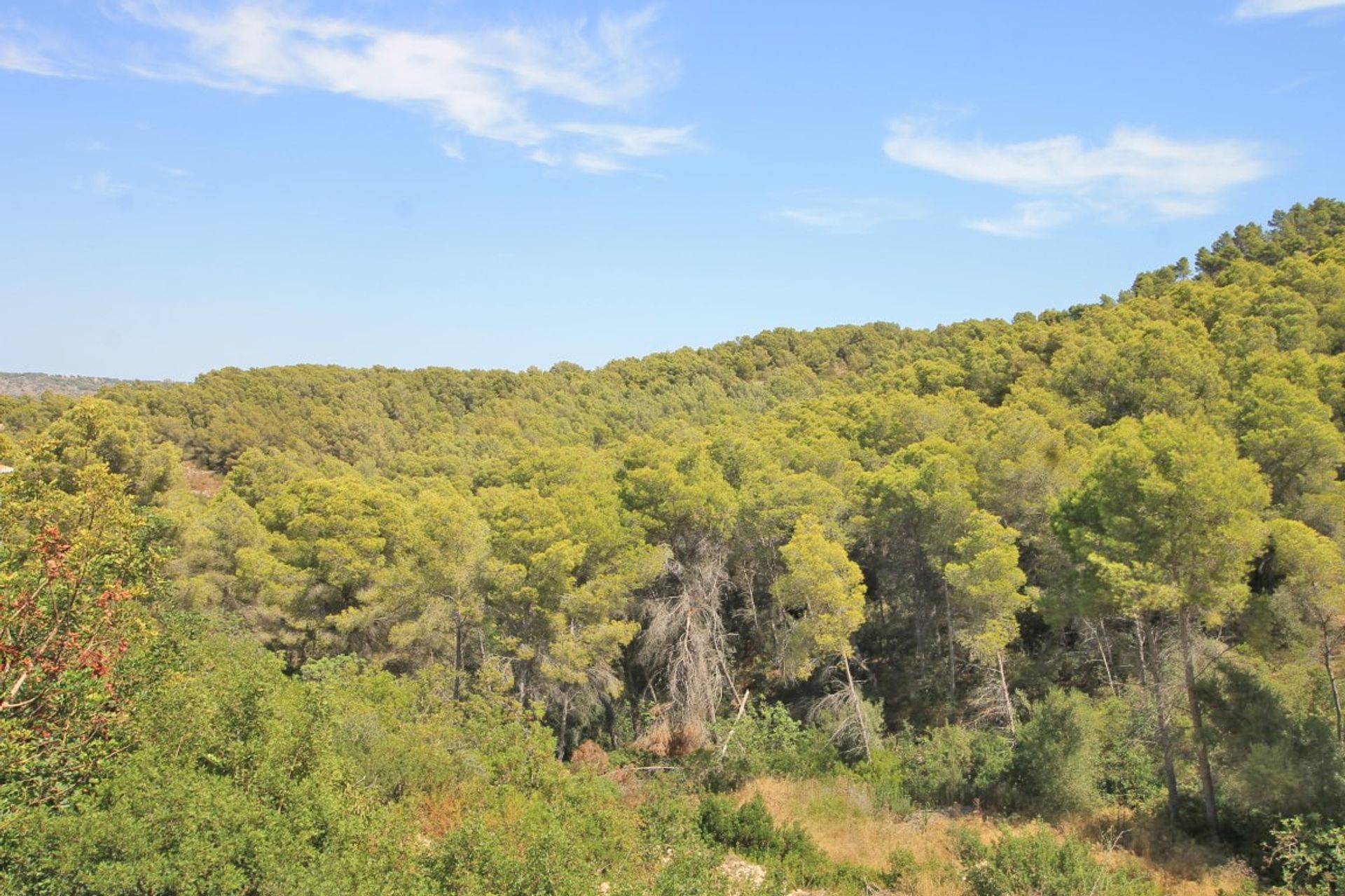 土地 在 Jávea, Comunidad Valenciana 11090768