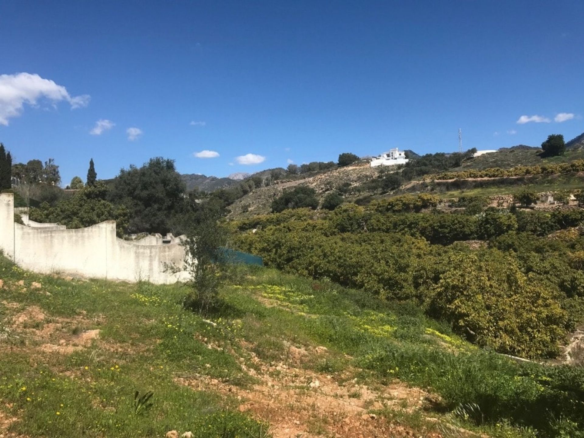 ארץ ב Frigiliana, Andalucía 11090862