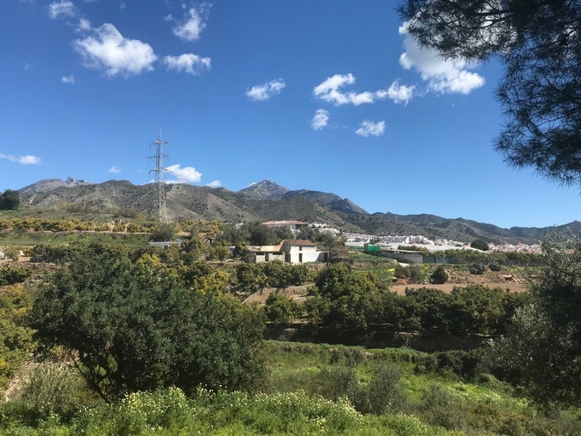 ארץ ב Frigiliana, Andalucía 11090862