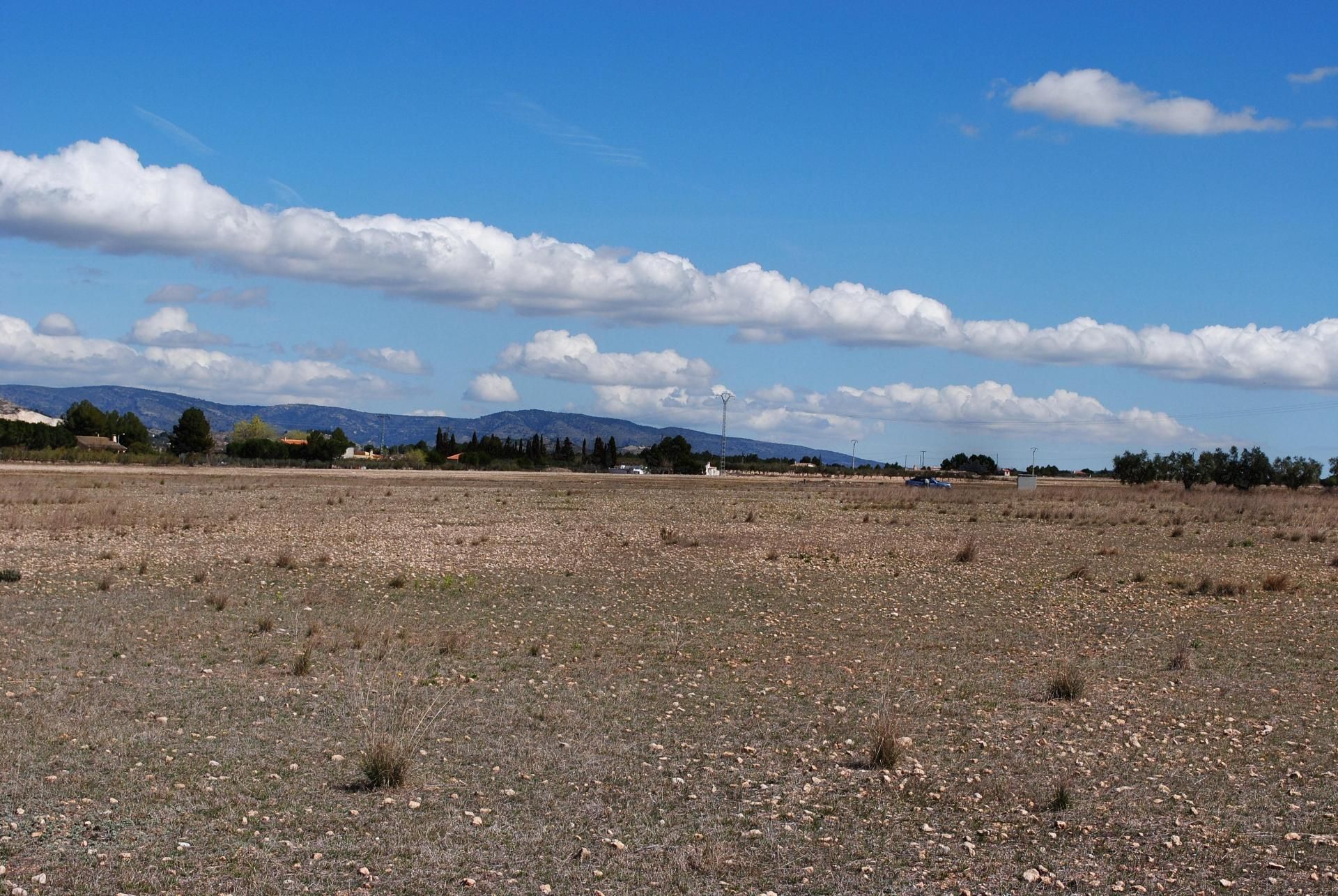 Tanah di Biarkan, Valencia 11091020