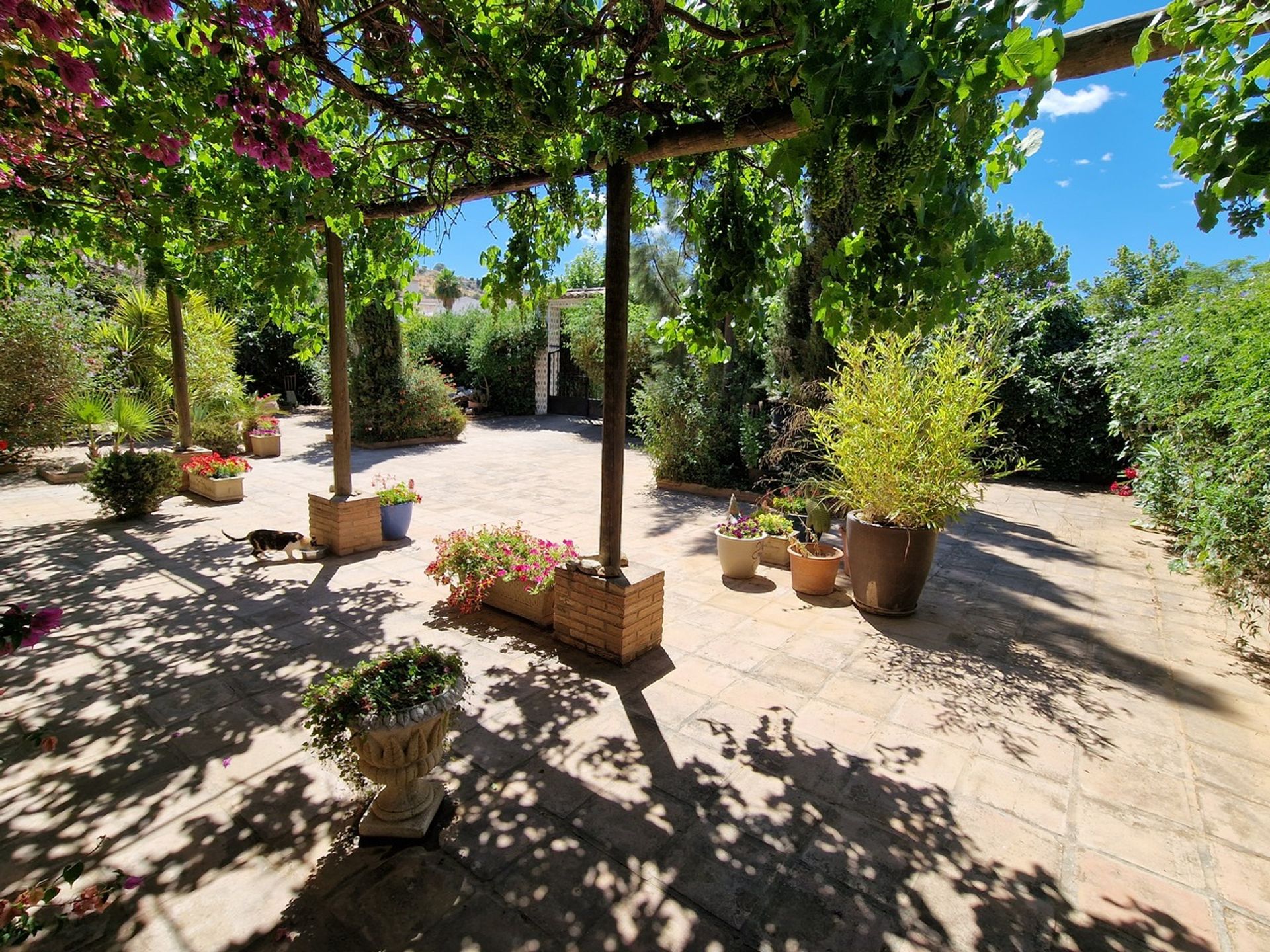 House in Colmenar, Andalucía 11091224