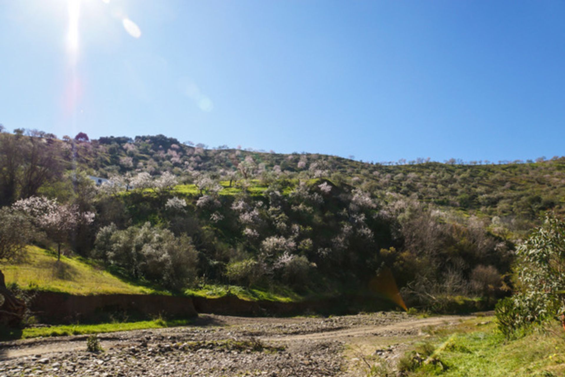 בַּיִת ב Álora, Andalucía 11091310