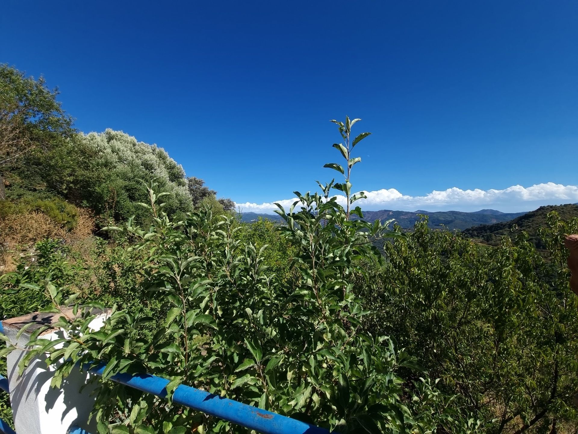 Casa nel Ronda, Andalucía 11091374