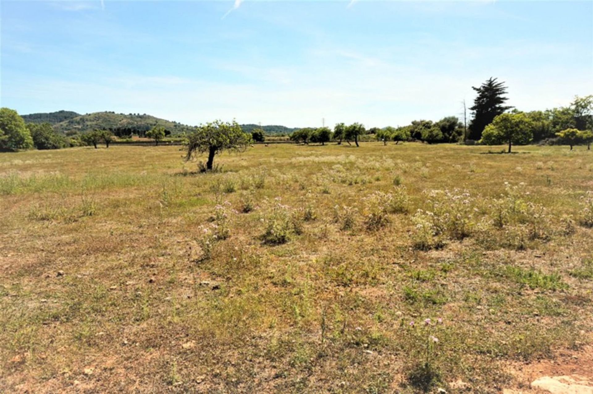 Tierra en Artà, Illes Balears 11091611