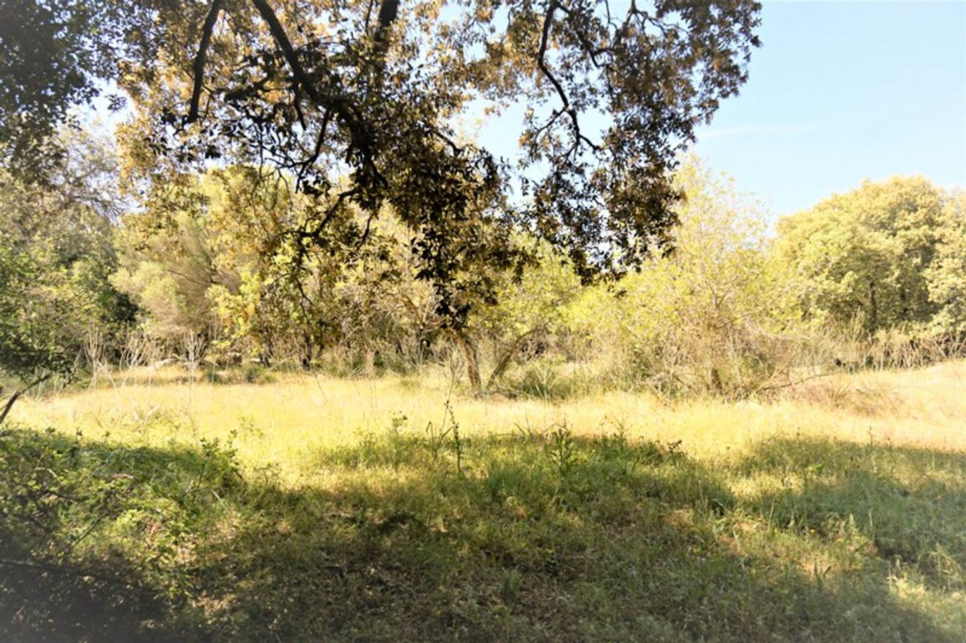 Tierra en Artà, Illes Balears 11091611