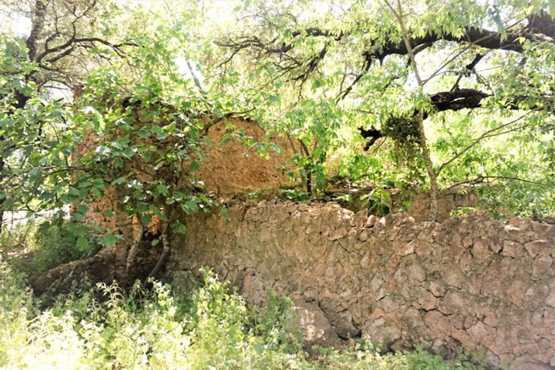 Tierra en Artà, Illes Balears 11091611