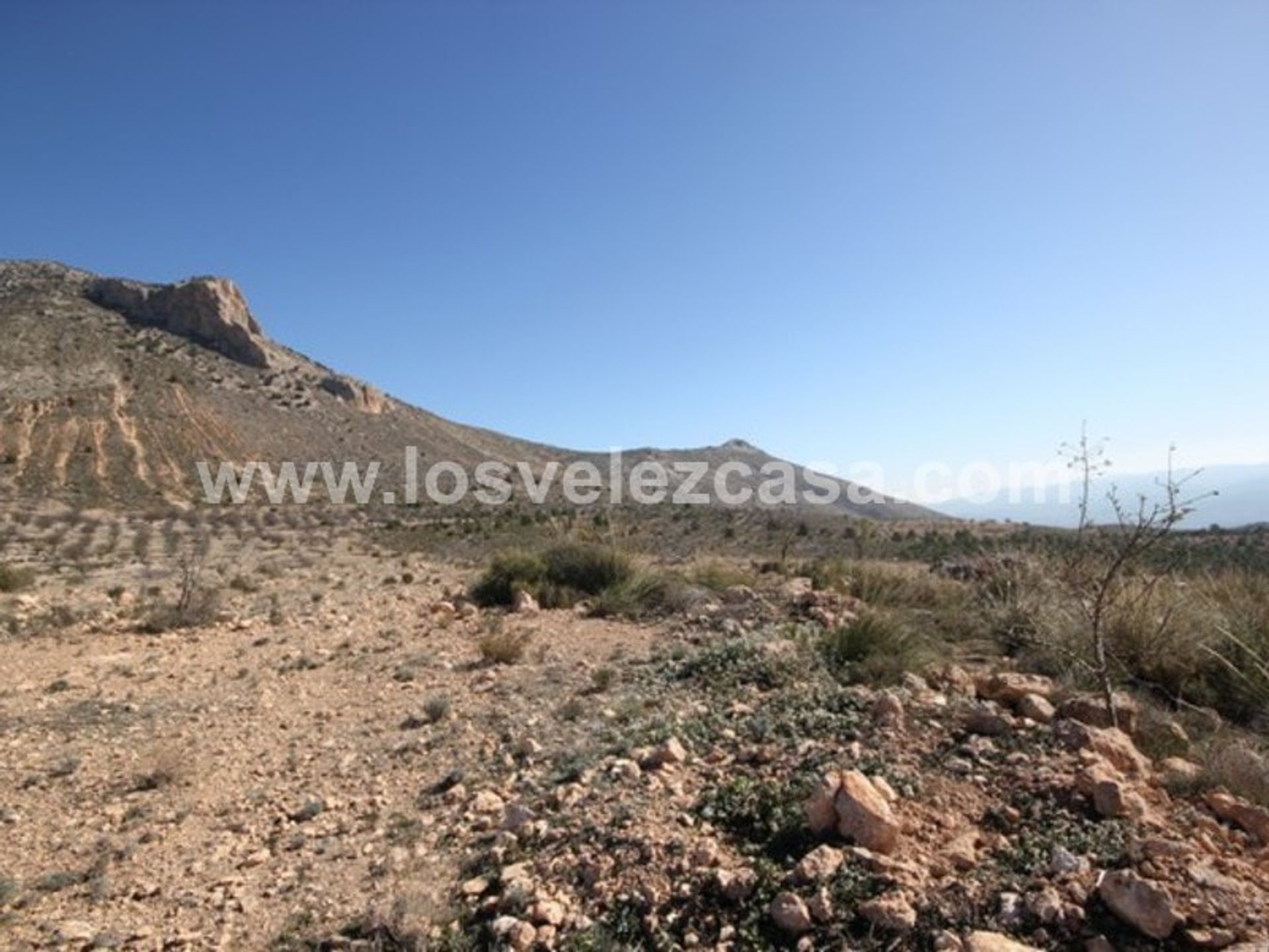 Tierra en Vélez Blanco, Andalucía 11091683