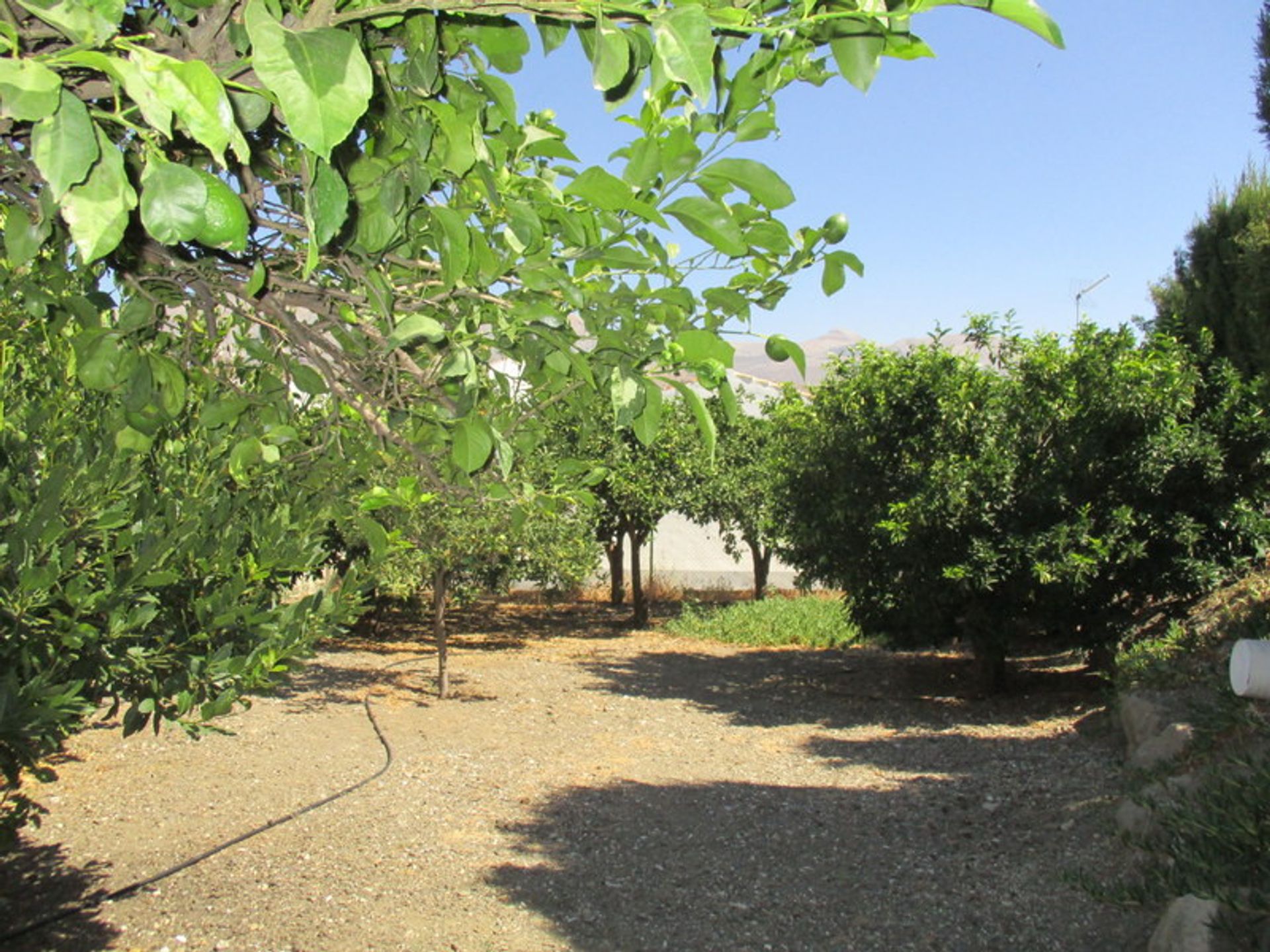 Industri di Álora, Andalucía 11091719