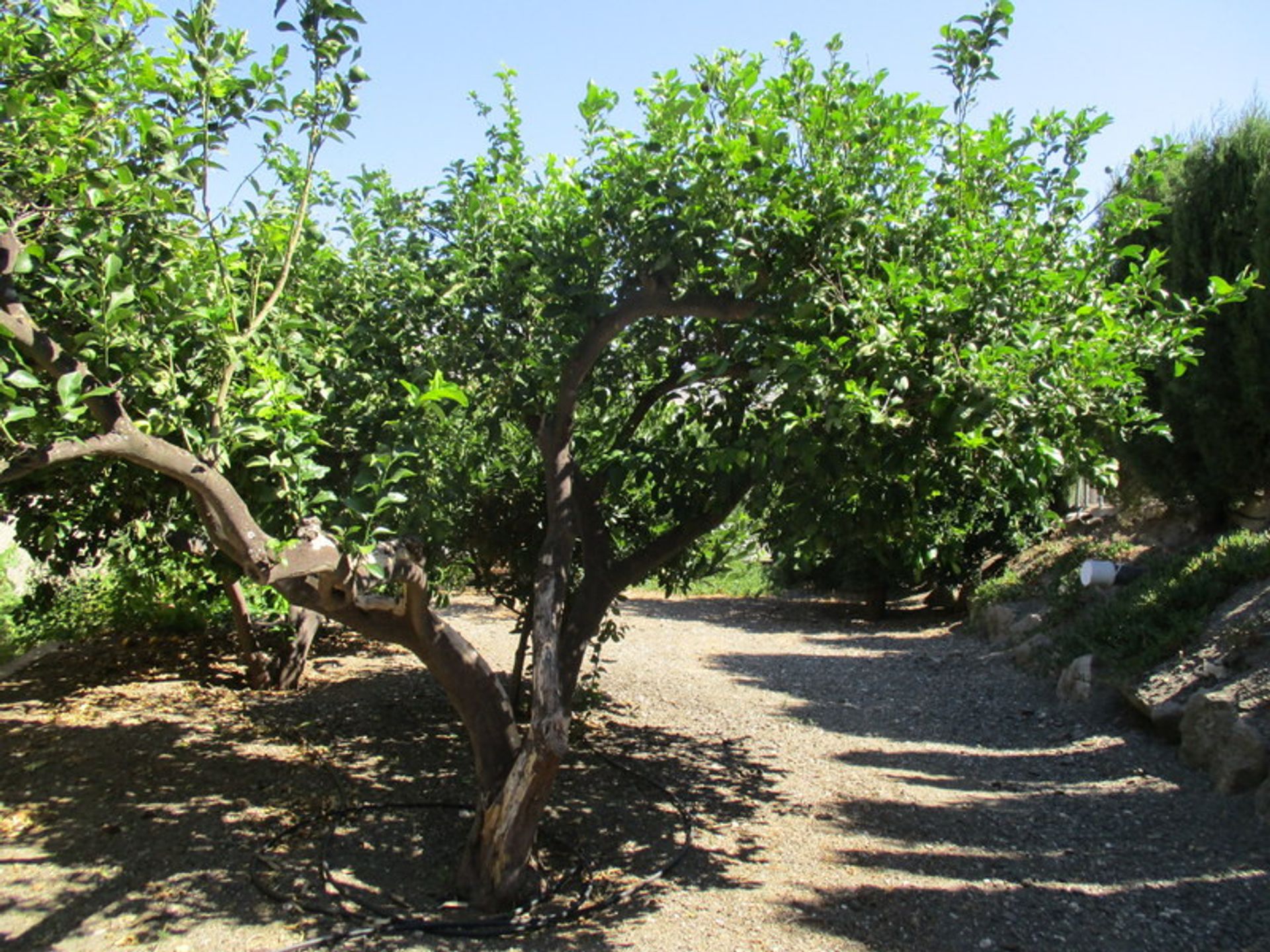 Przemysłowy w Álora, Andalucía 11091719