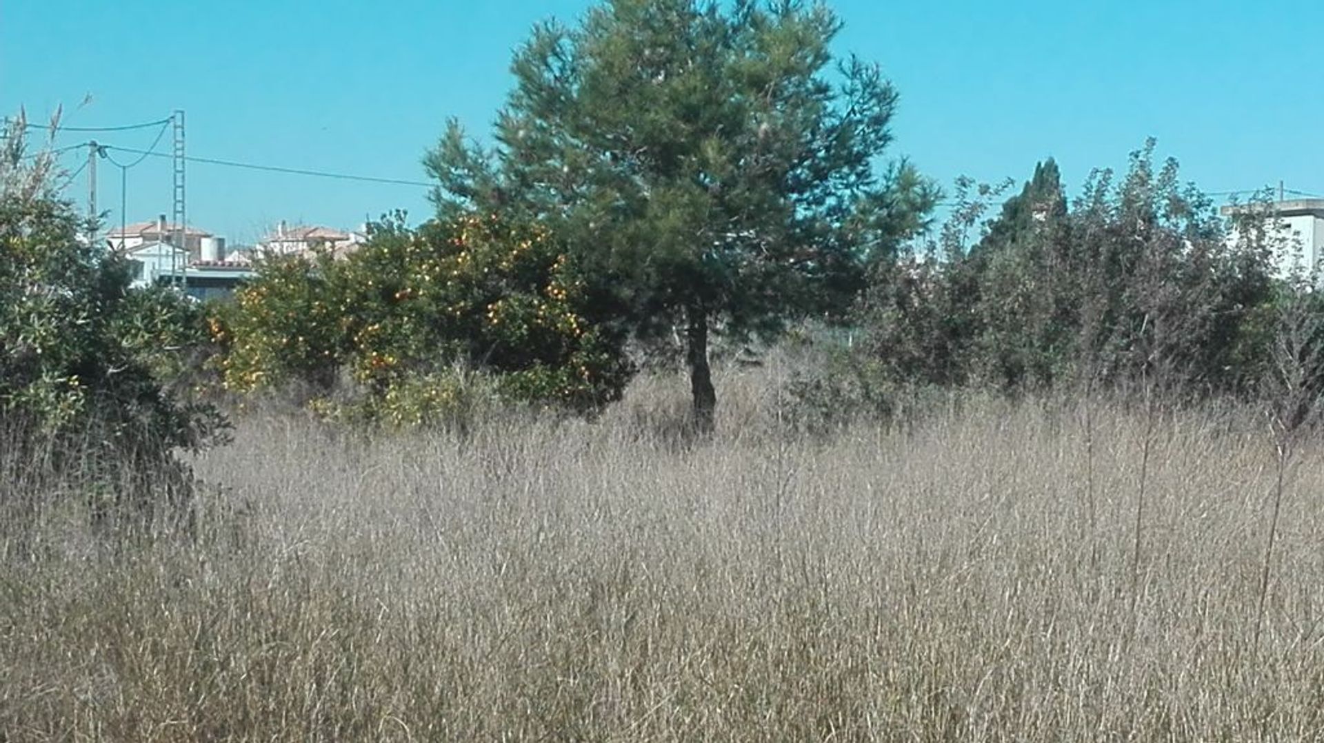 Jord i Castillo del Reboller, Valencia 11091830