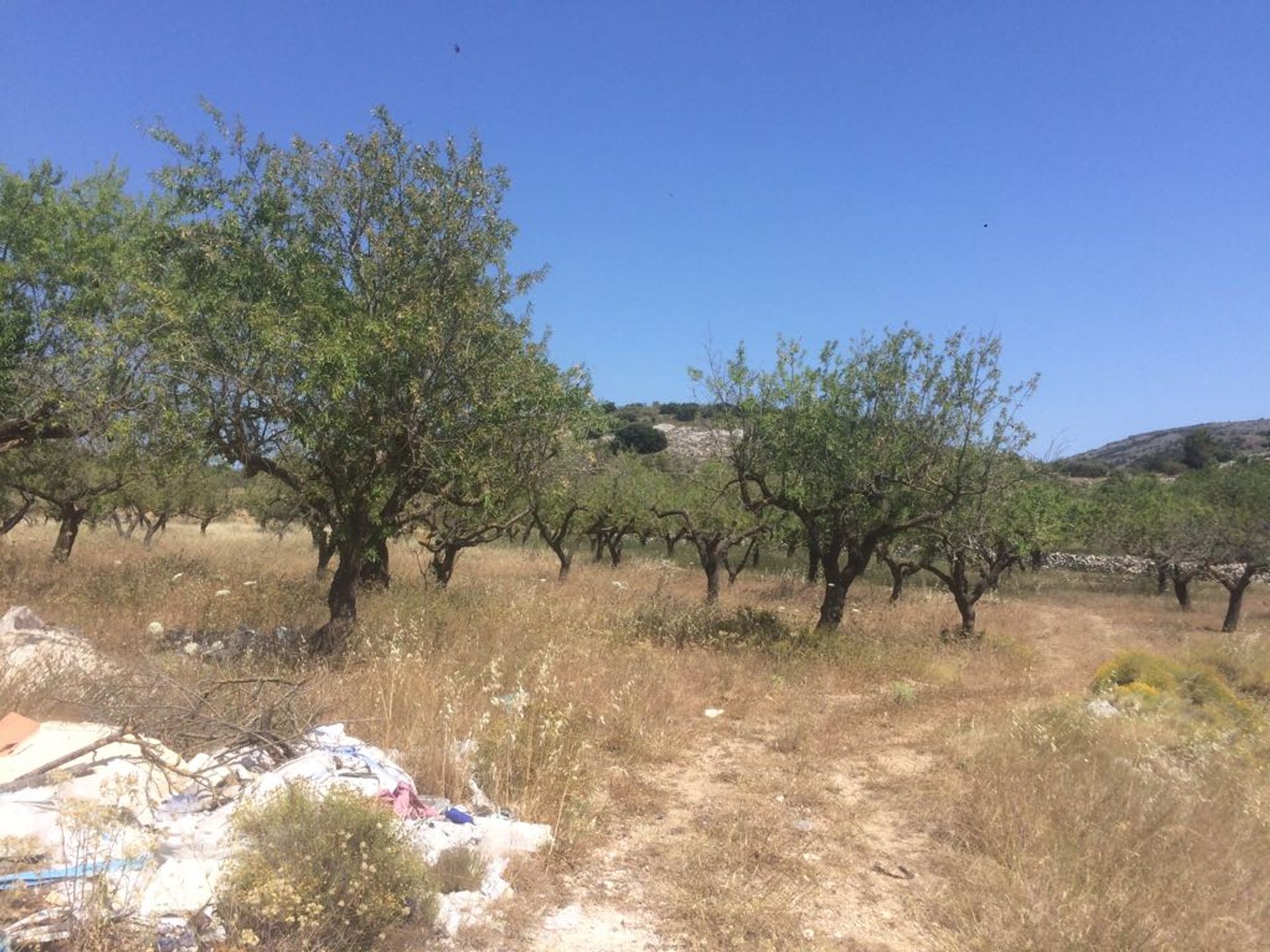 loger dans Castell de Castells, Comunidad Valenciana 11092768