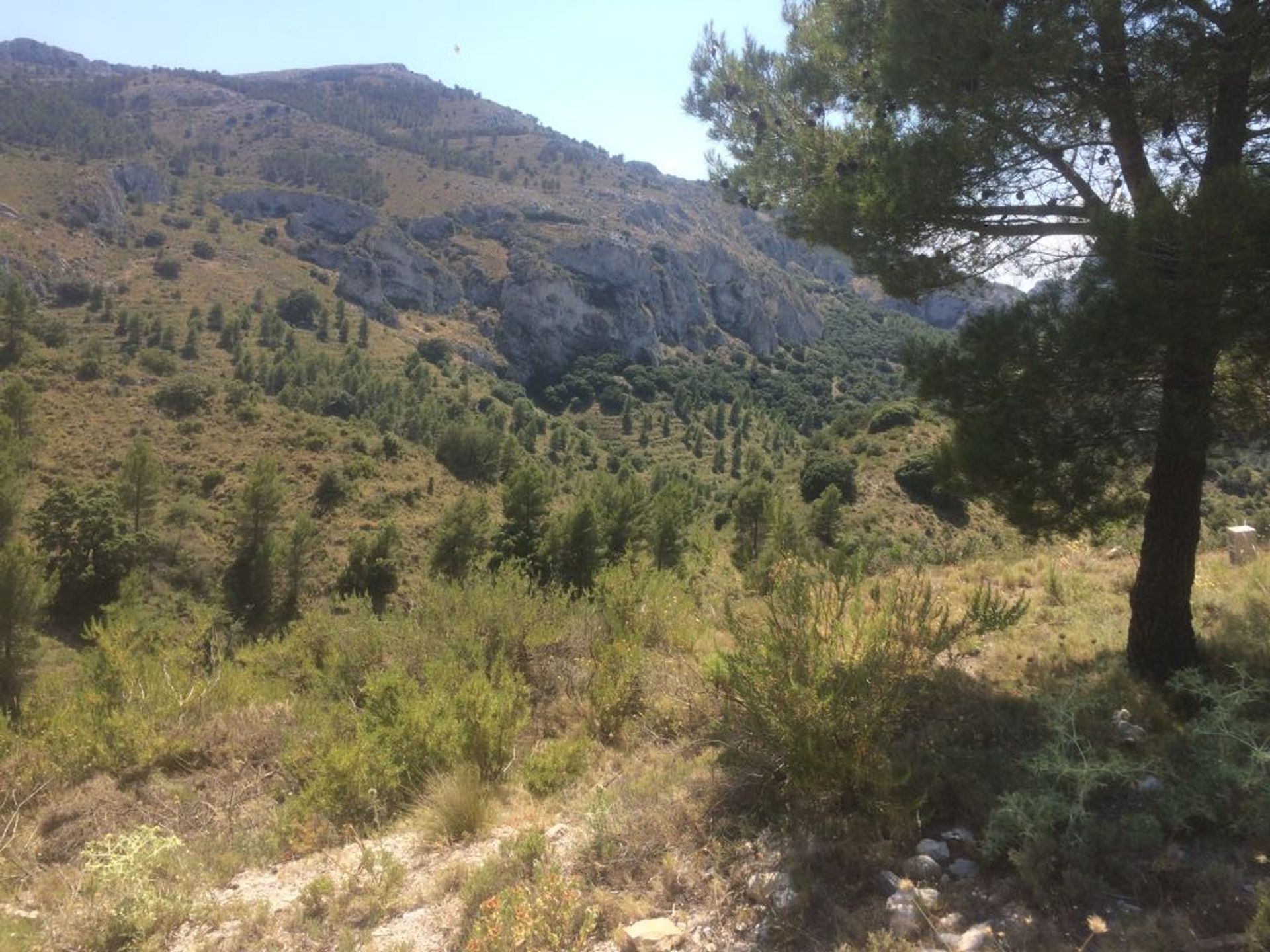 loger dans Castell de Castells, Comunidad Valenciana 11092768