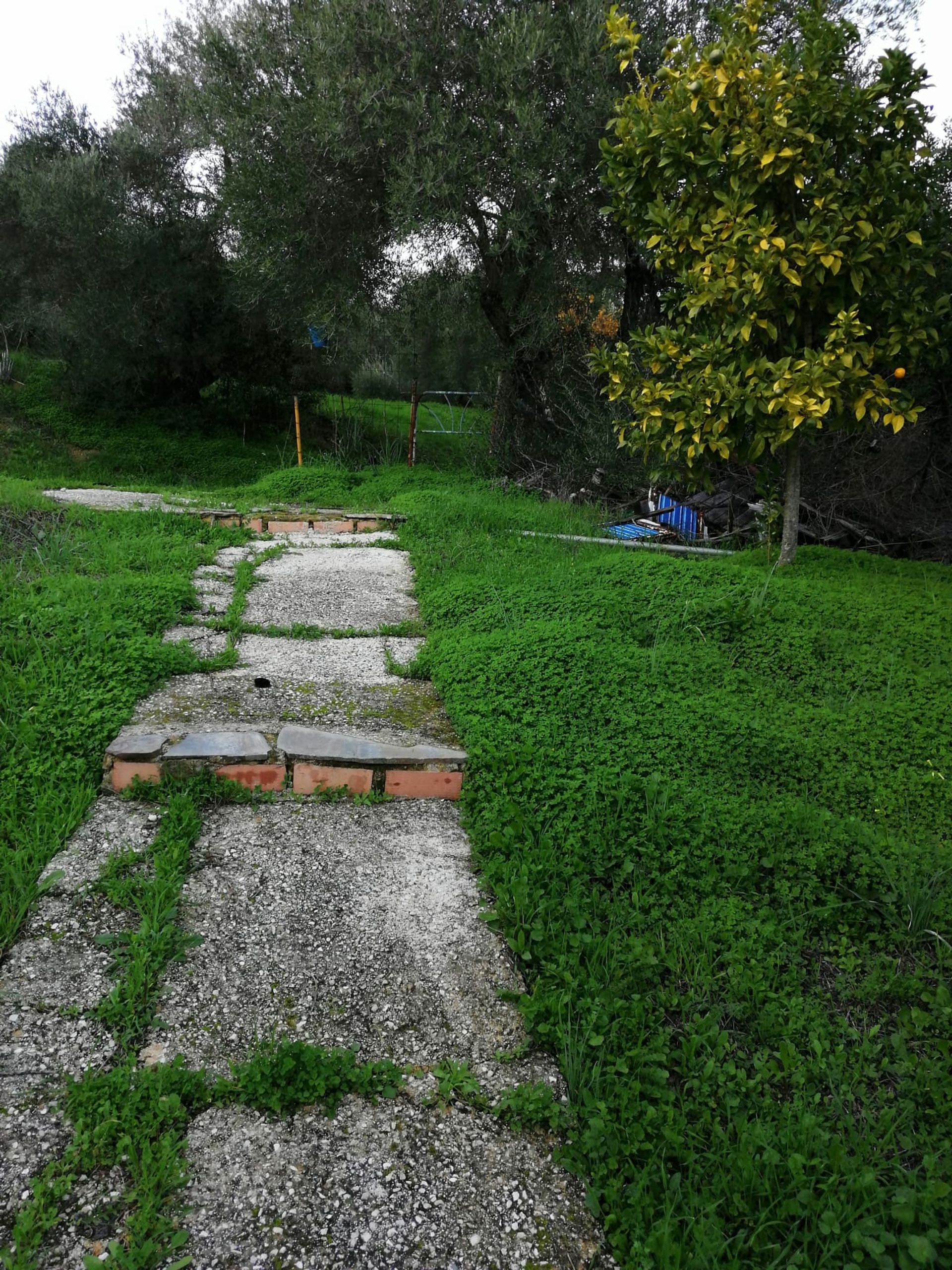 σπίτι σε Cortes de la Frontera, Ανδαλουσία 11092796