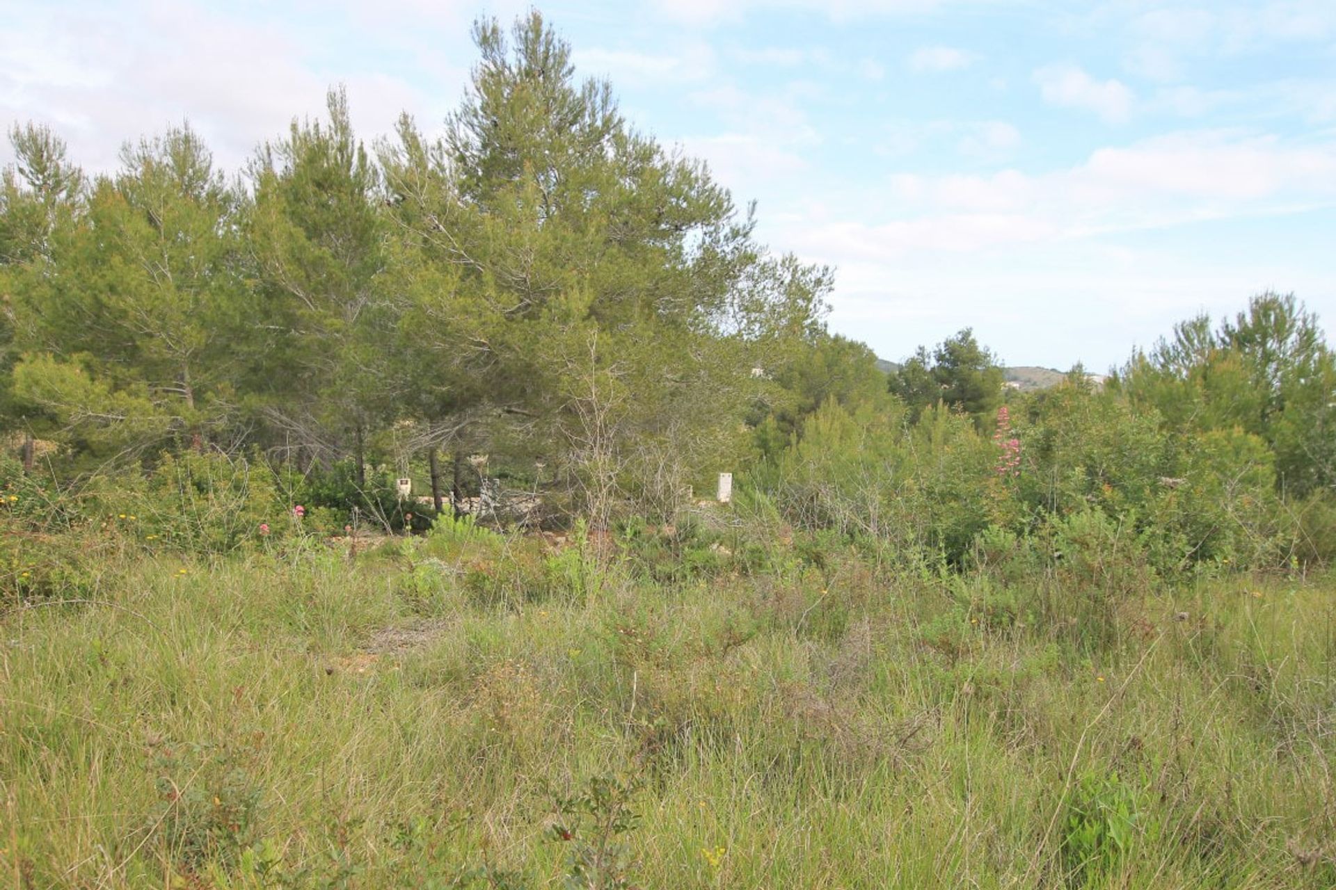 Tierra en Jávea, Valencia 11092820