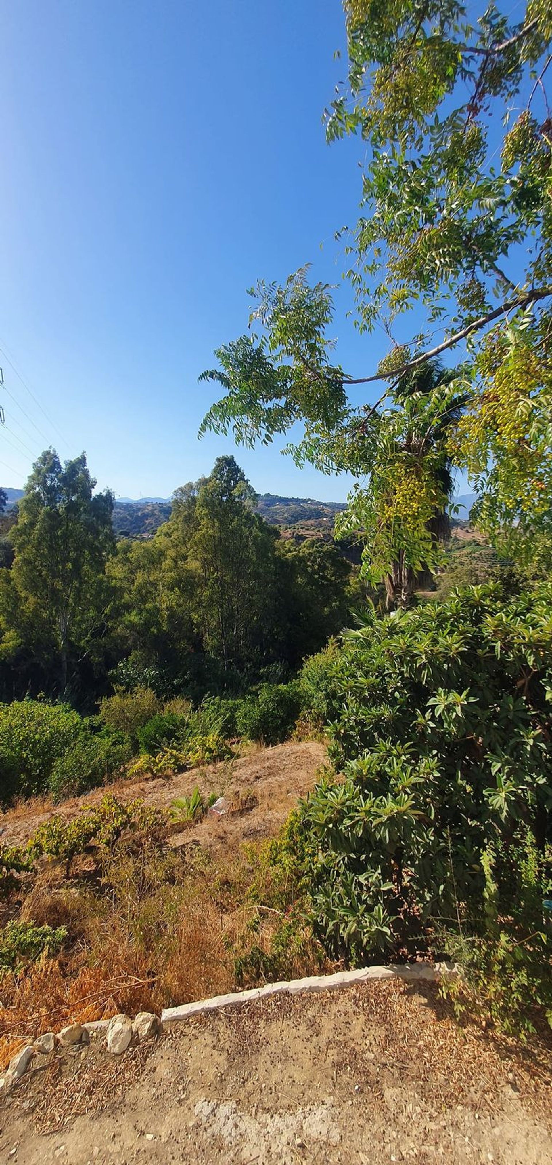 Talo sisään Alhaurín el Grande, Andalucía 11092837