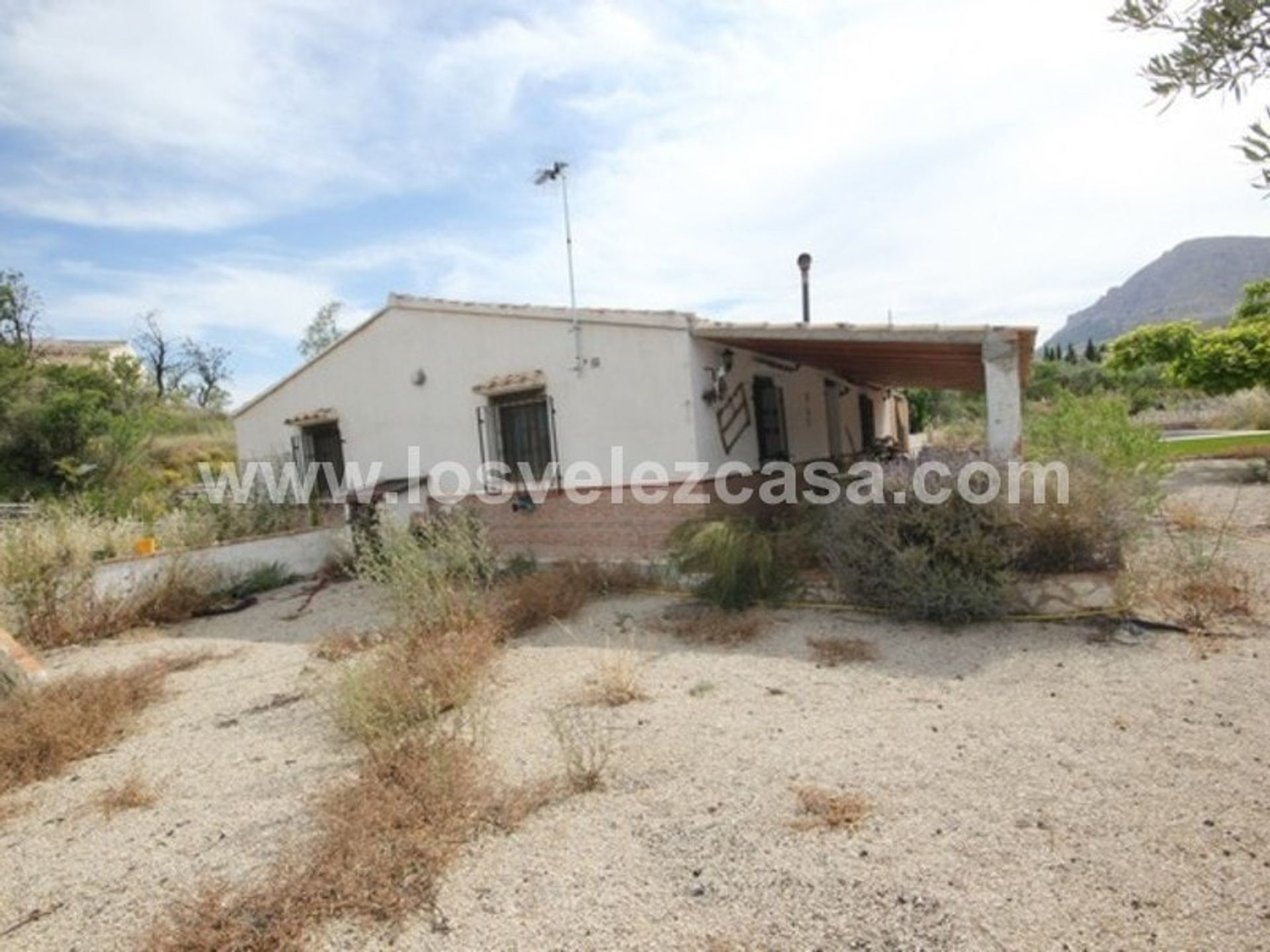 rumah dalam Velez Blanco, Andalusia 11093039