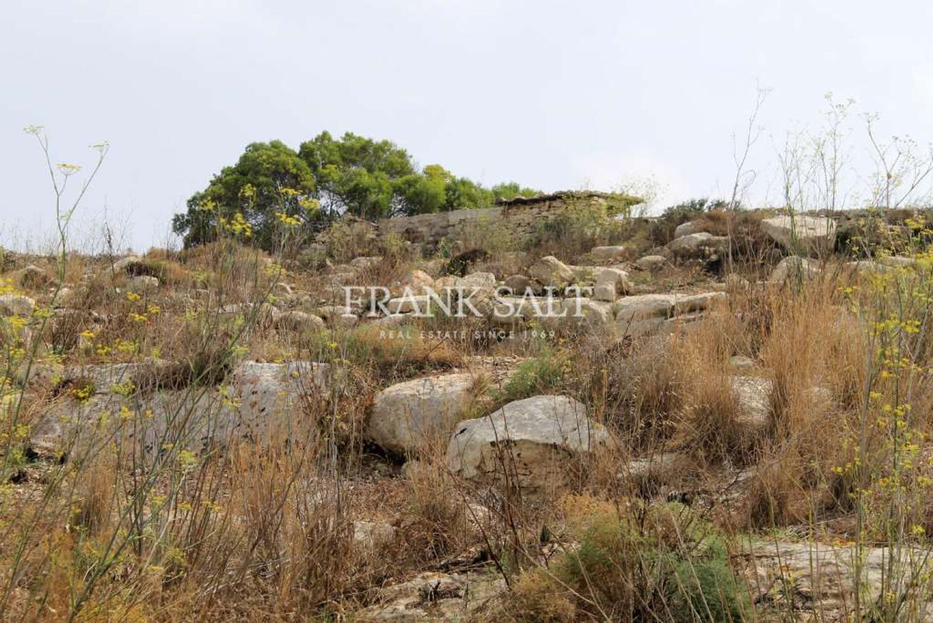 Autre dans Birżebbuġa,  11093044