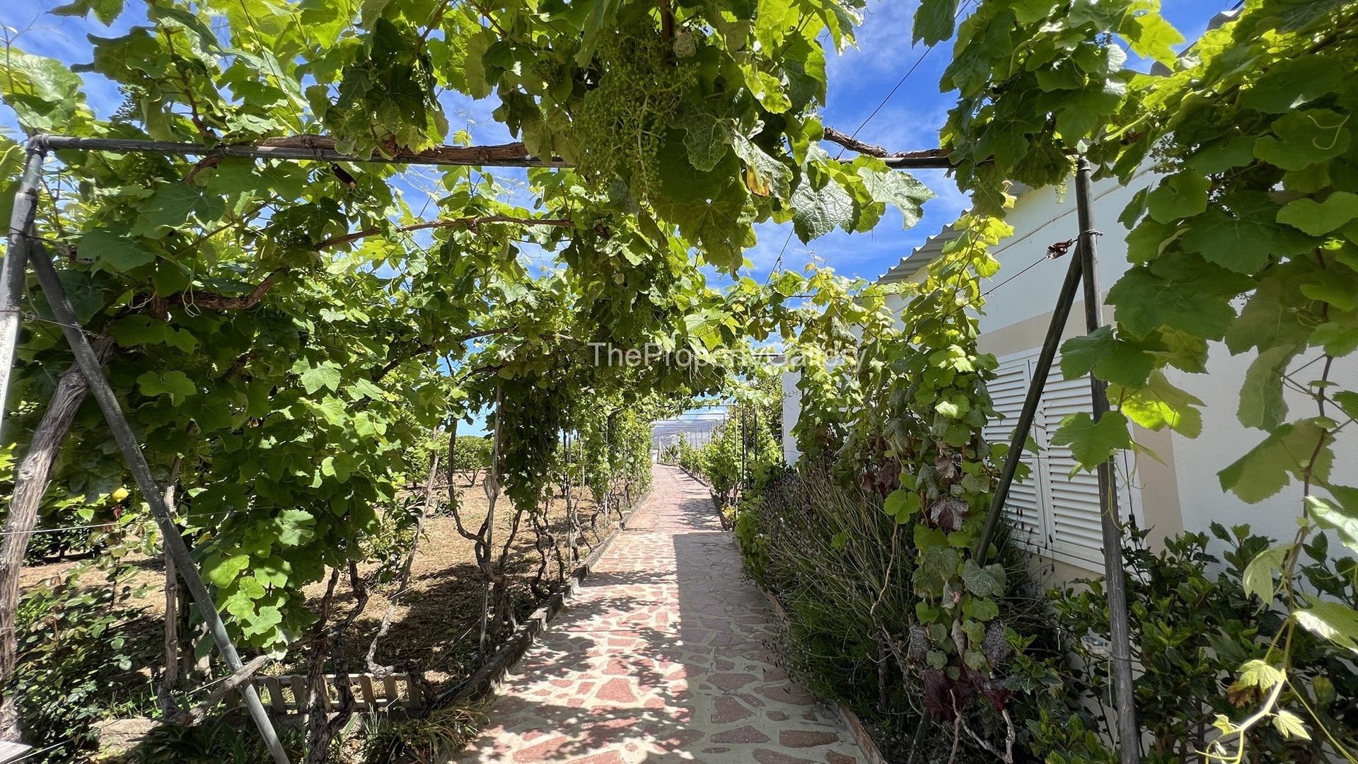 Huis in Guía de Isora, Canarias 11093227