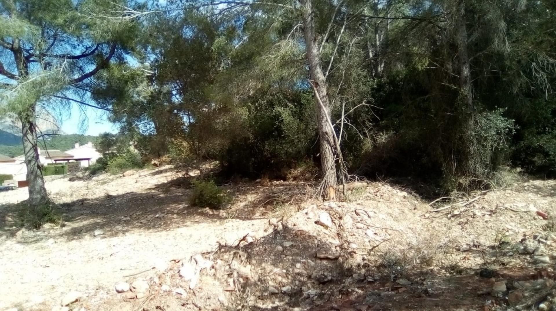 Land in Denia, Valencia 11093261