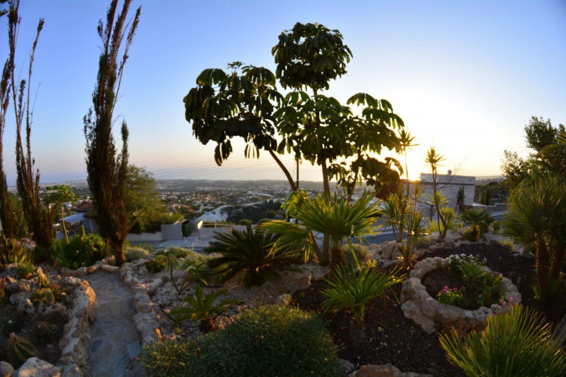 casa en Tala, Pafos 11093517