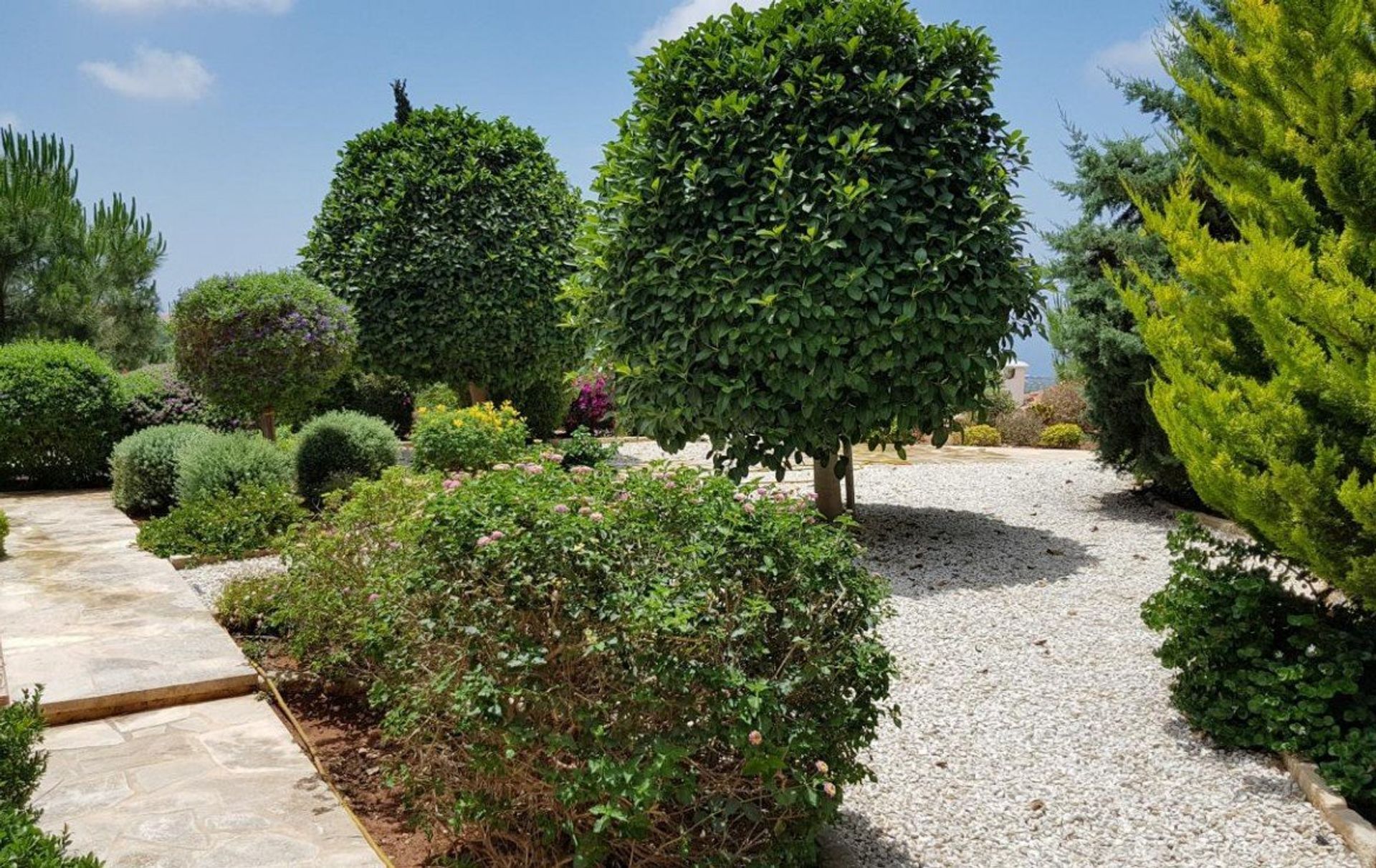 House in Tala, Pafos 11093523