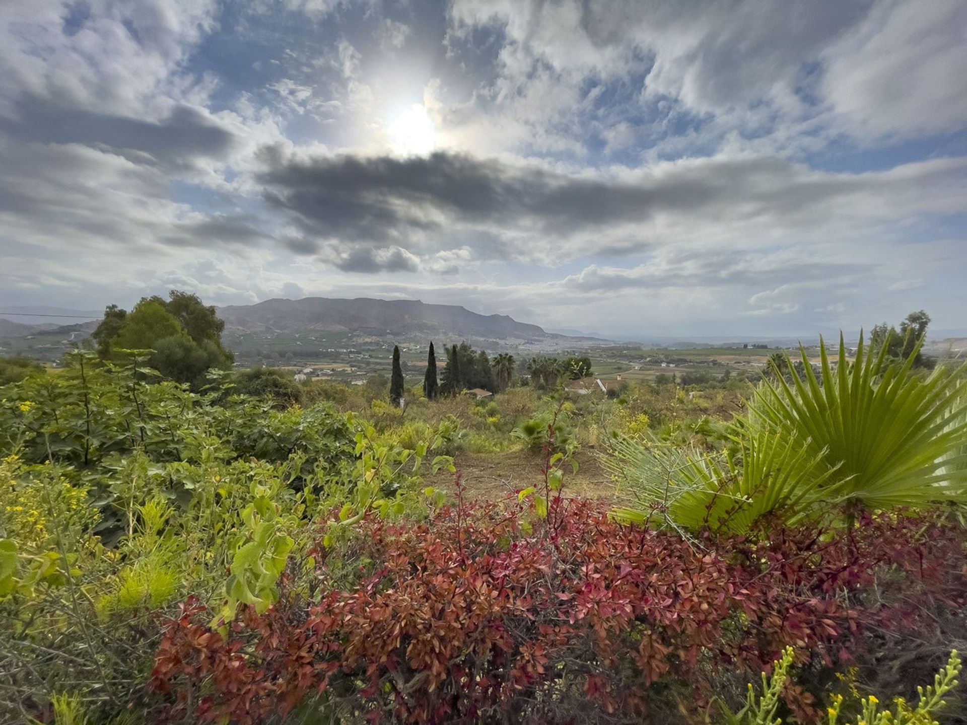 Talo sisään Pizarra, Andalusia 11100024