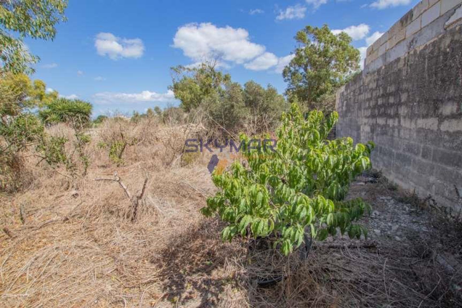 loger dans Zejtun, Zejtun 11100617