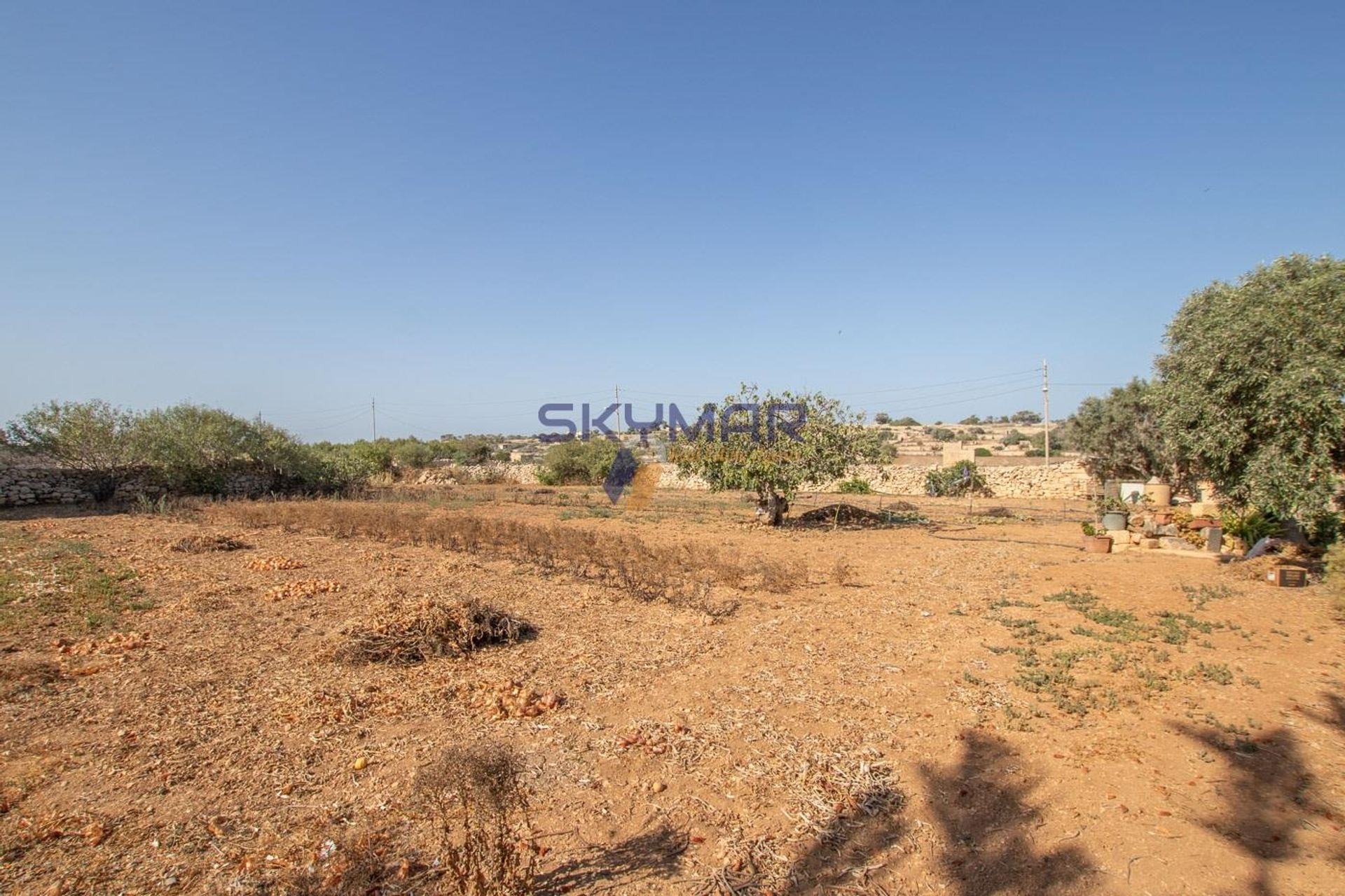 House in Zurrieq,  11100843