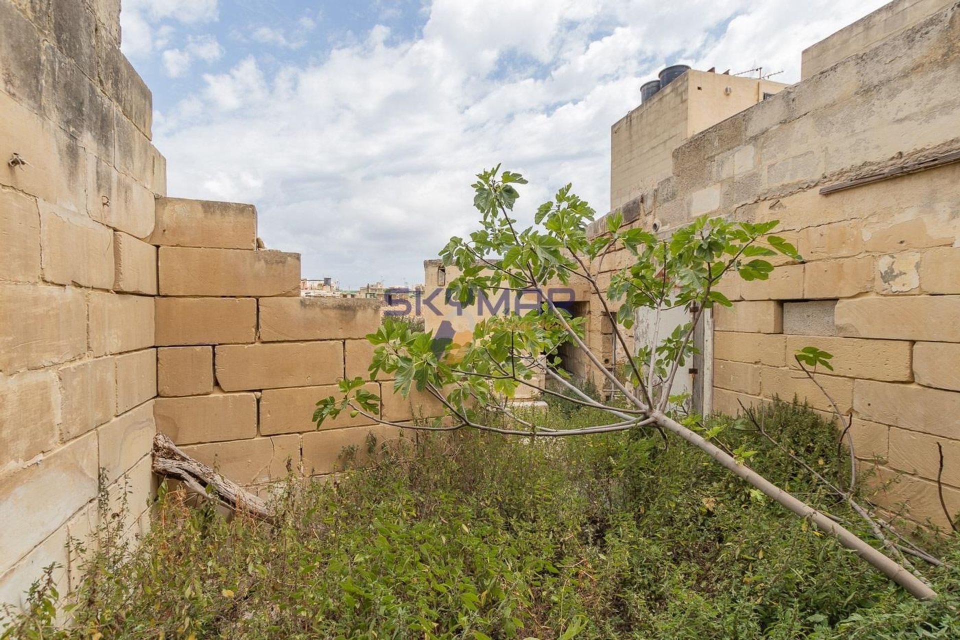 жилой дом в Ħaż-Żabbar,  11101071