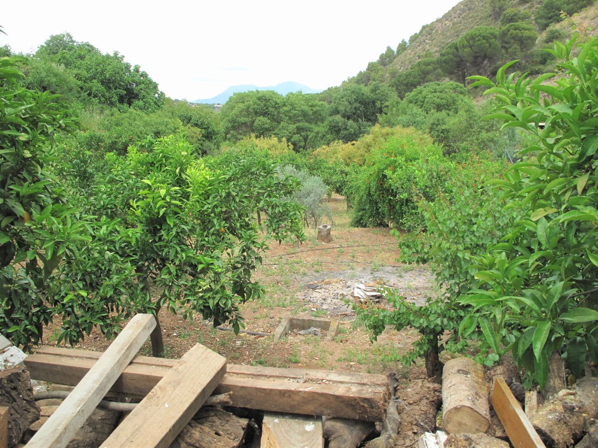 casa en lunes, Andalucía 11104279