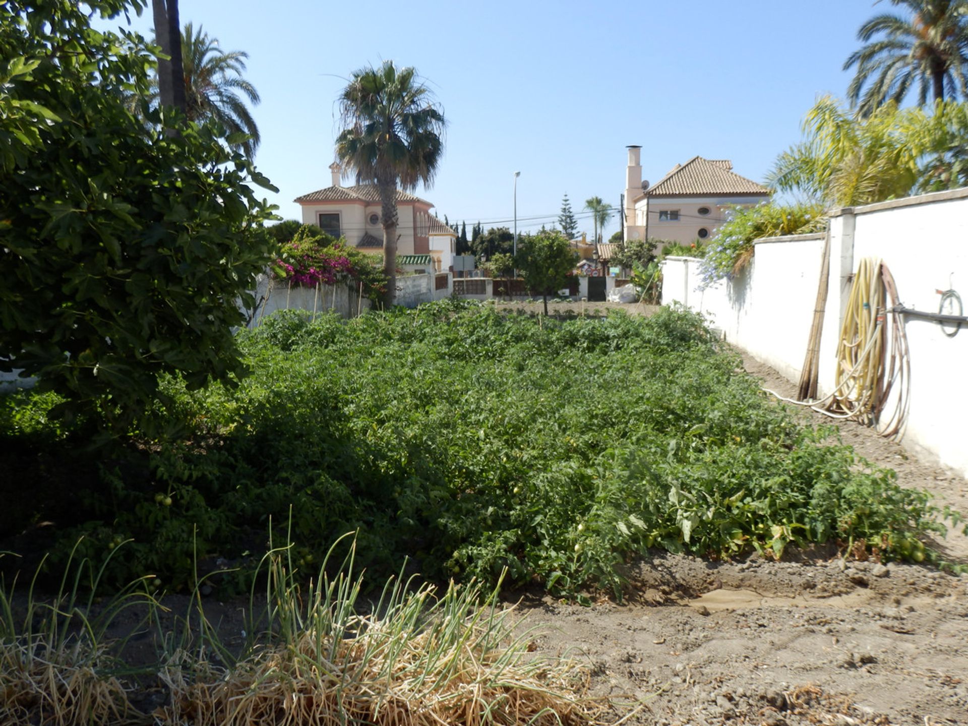 Hus i San Pedro de Alcantara, Andalusien 11104992