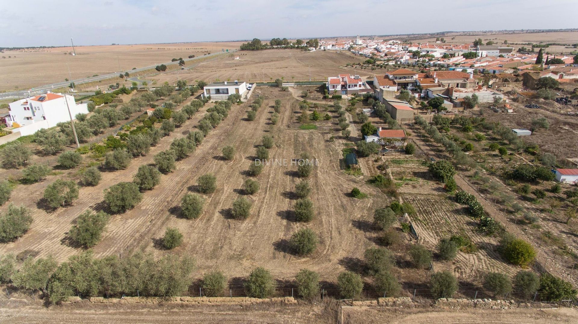 Land in Entradas, Beja 11105356