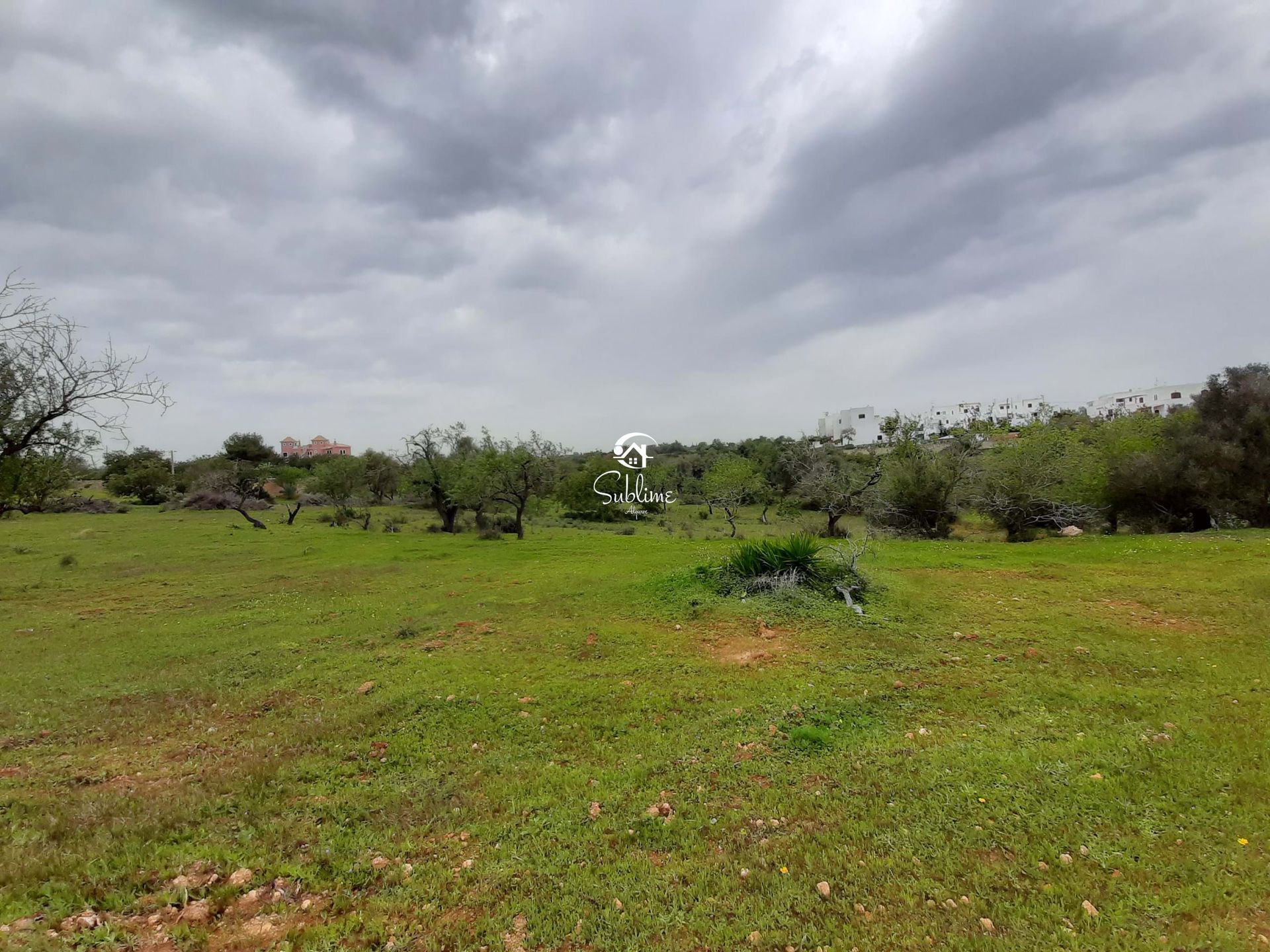 Land im Armação de Pêra, Faro 11105622