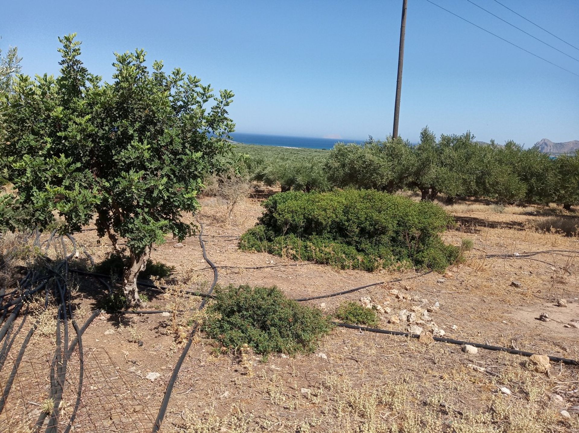 Land i Kissamos,  11106751