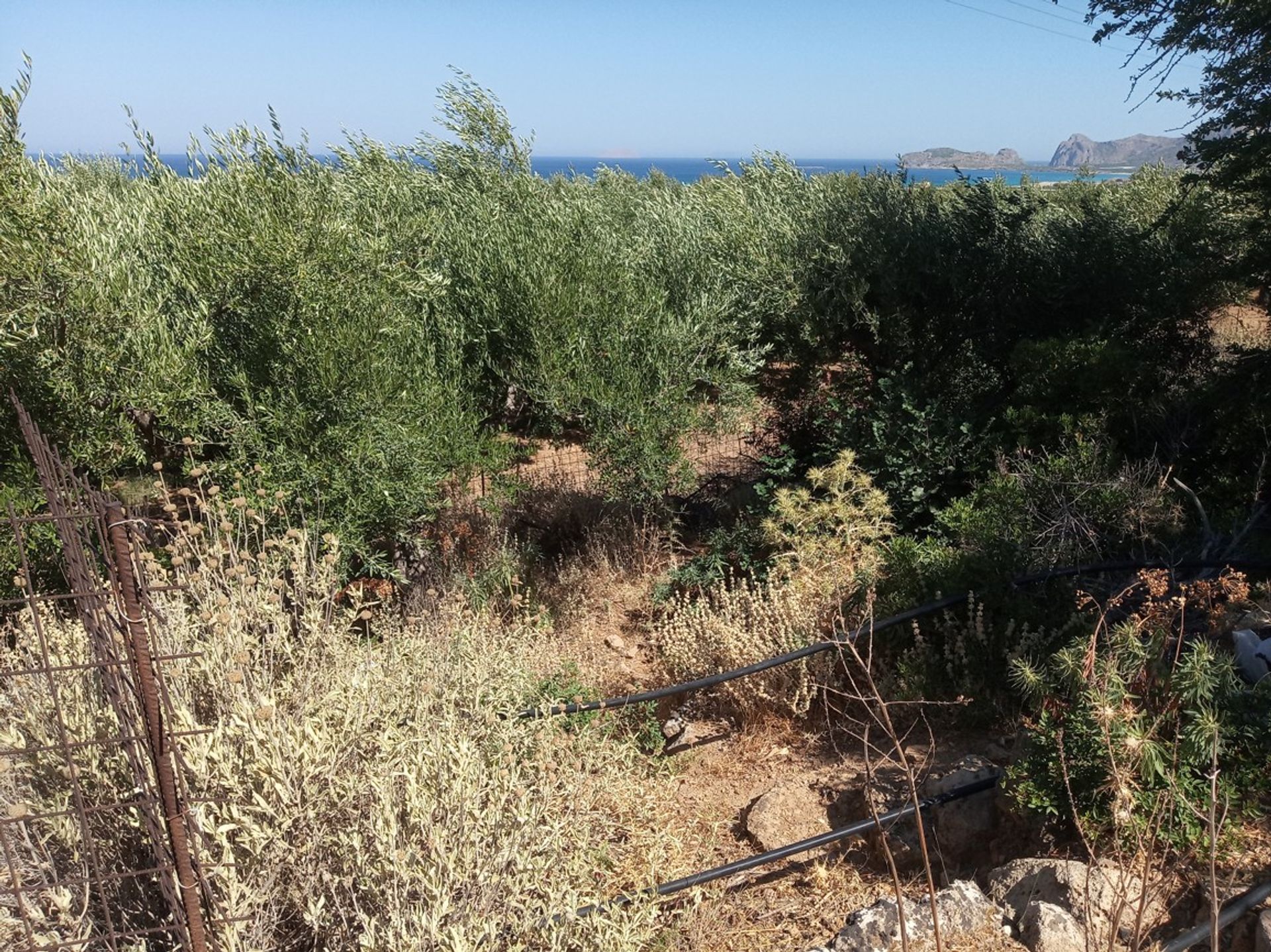 Land i Kissamos,  11106751