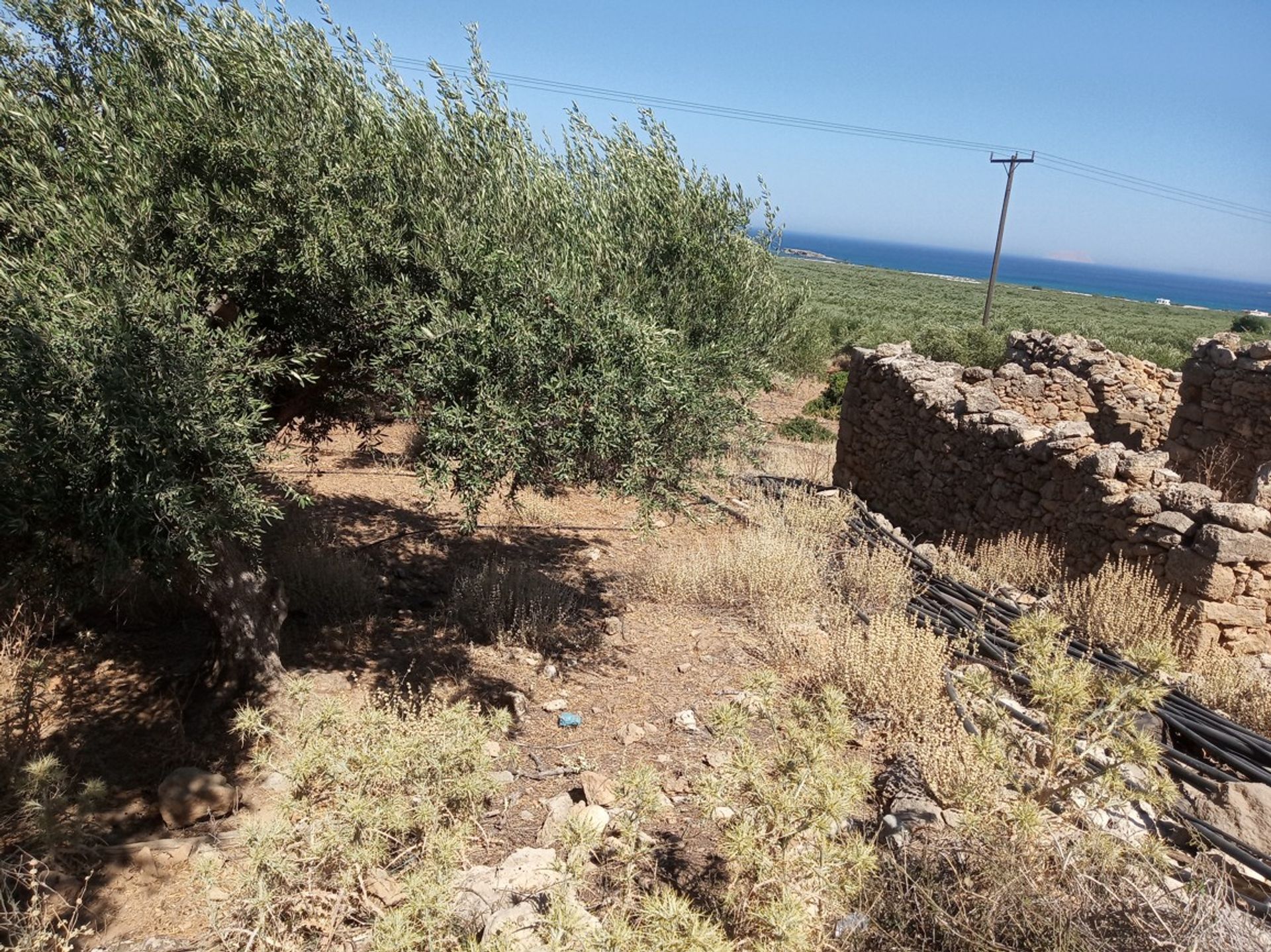 Land i Kissamos,  11106751