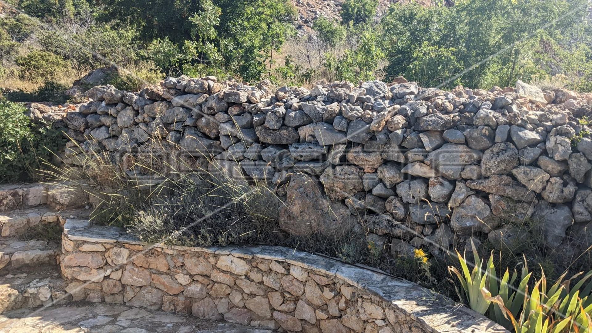 Sbarcare nel Jasenice, Zadarska županija 11109031