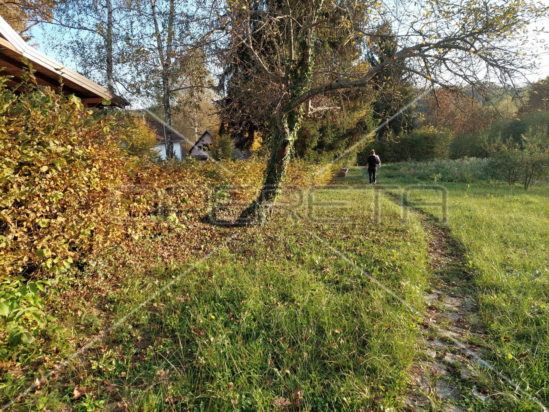 Hus i Cerovski Vrh, Zagrebačka županija 11109636