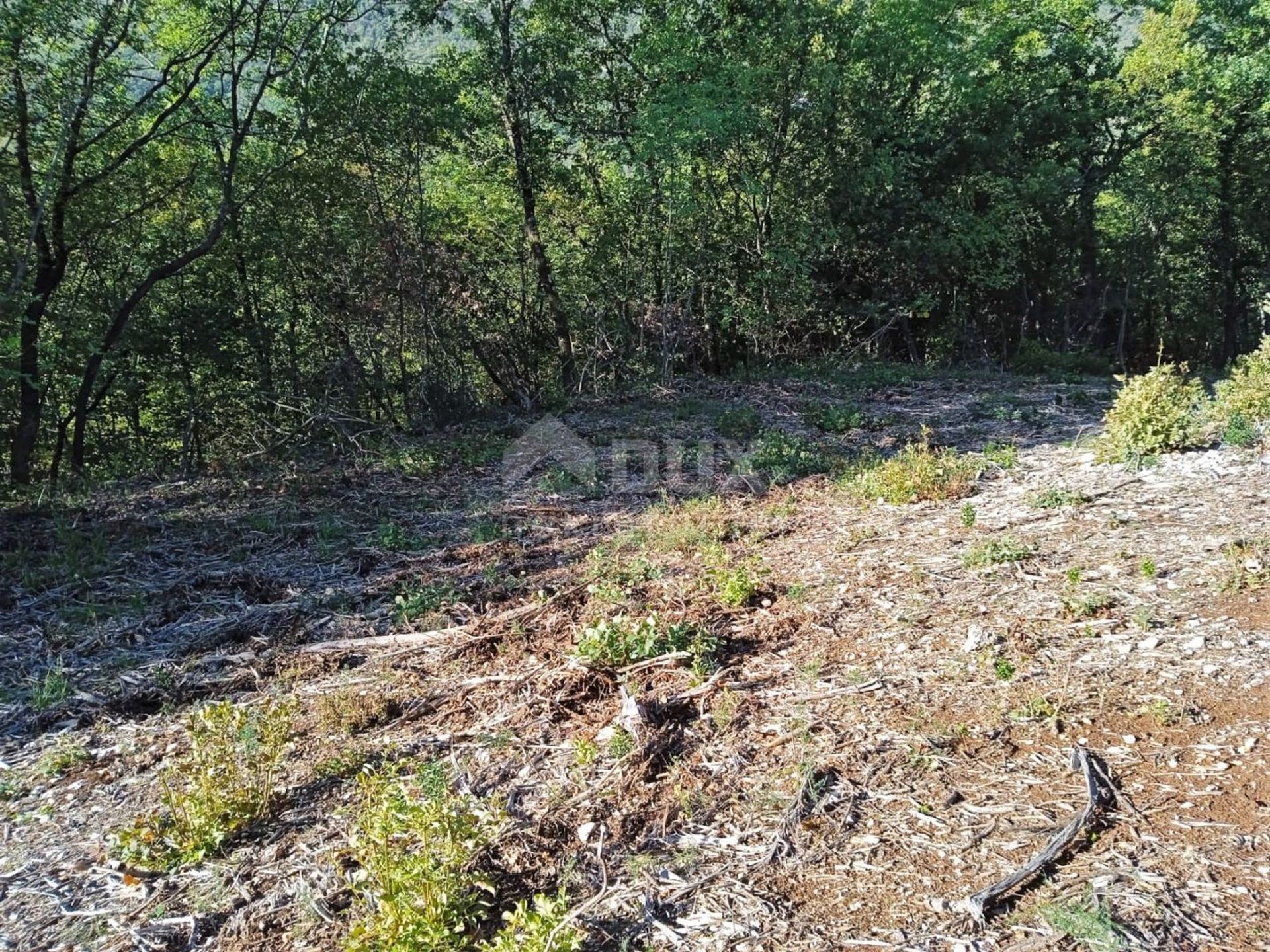 Земля в Мошченицька Драга, Приморсько-Горанська жупанія 11109758