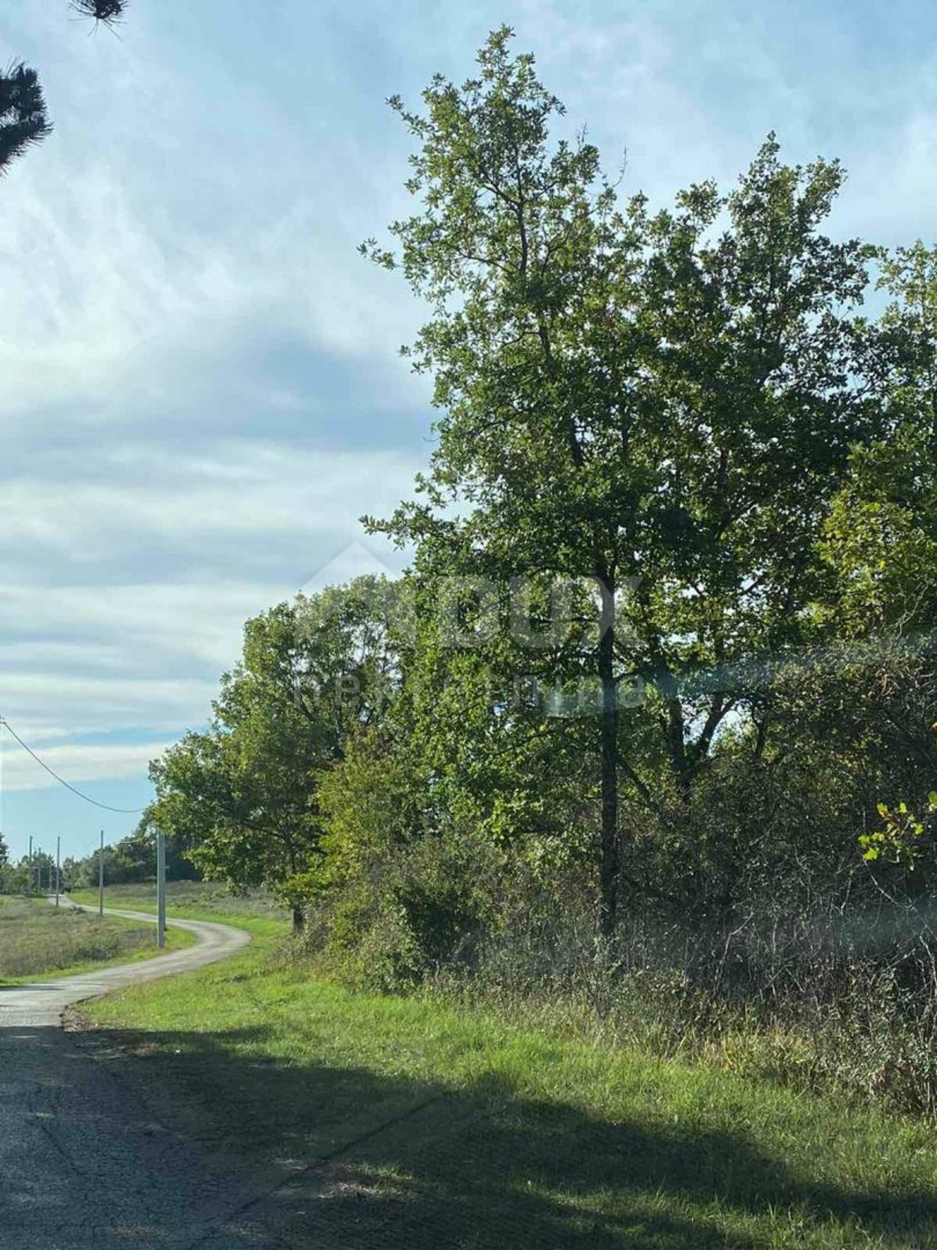 Jord i Sveti Lovrec Pazenaticki, Istarska Zupanija 11109762