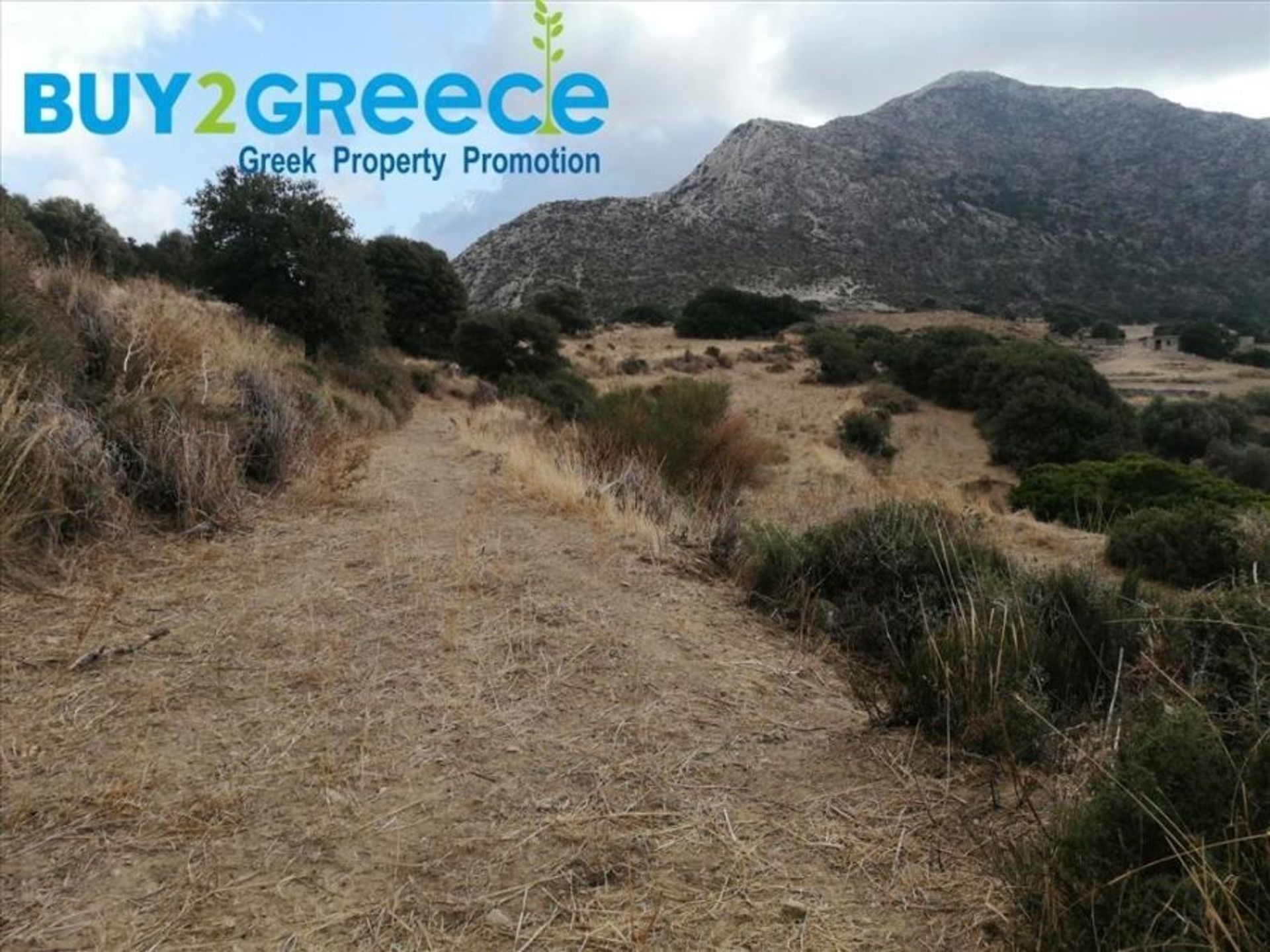 Land in Naxos, Notio Aigaio 11109847