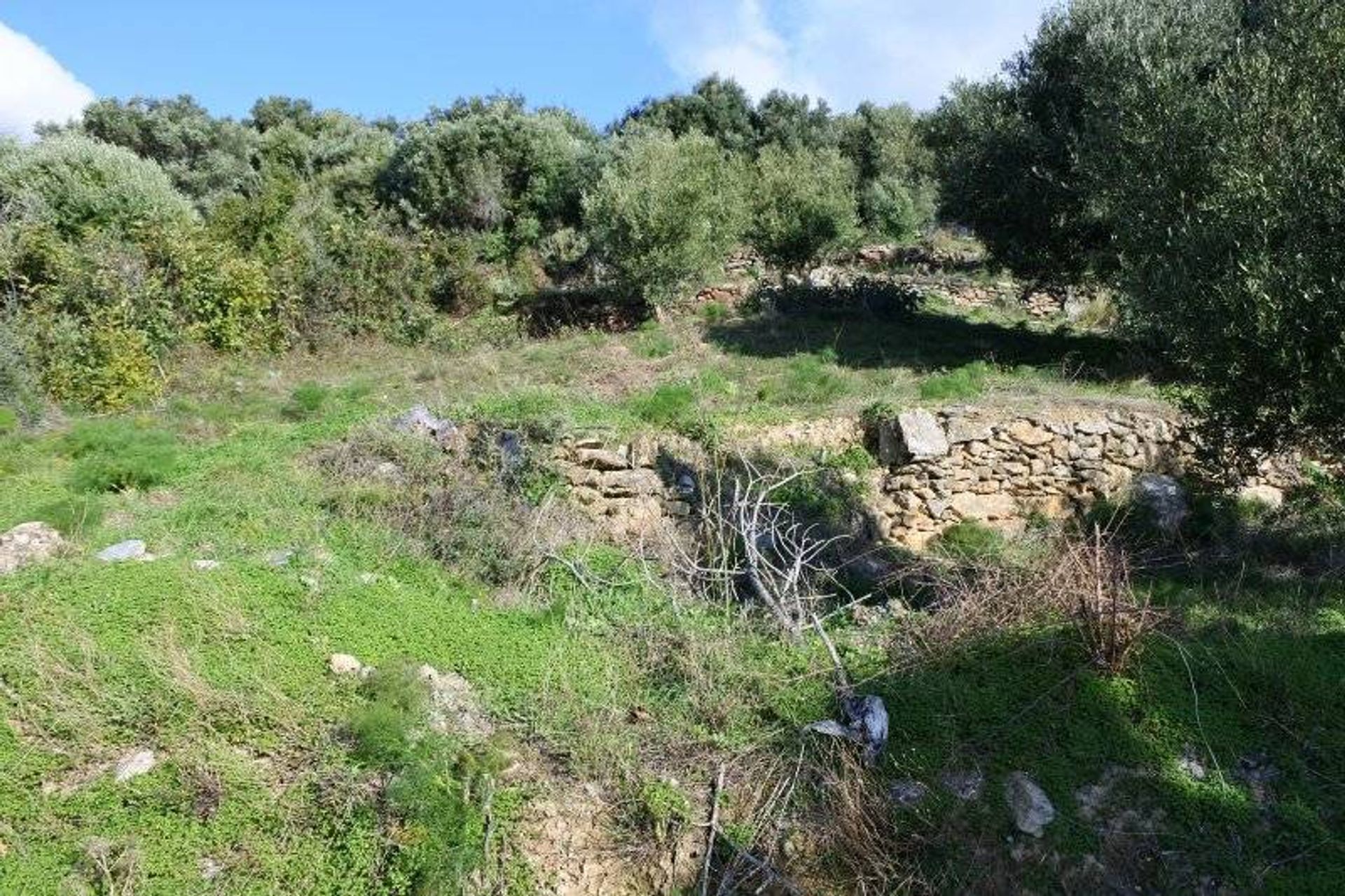 Land in Agios Antonios, Kriti 11110021