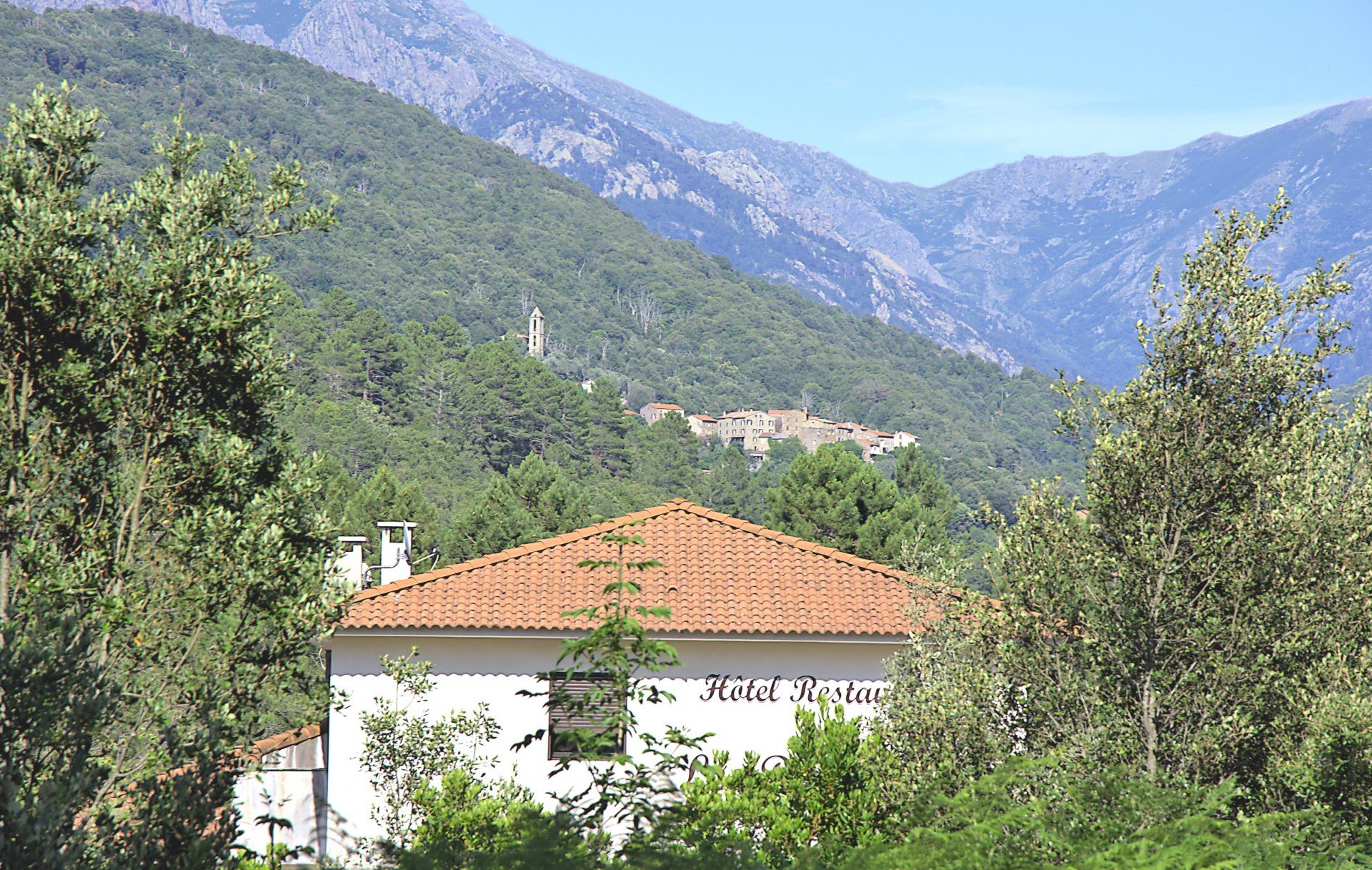 Lain di Guagno Les Bains, Corse-du-Sud 11115451